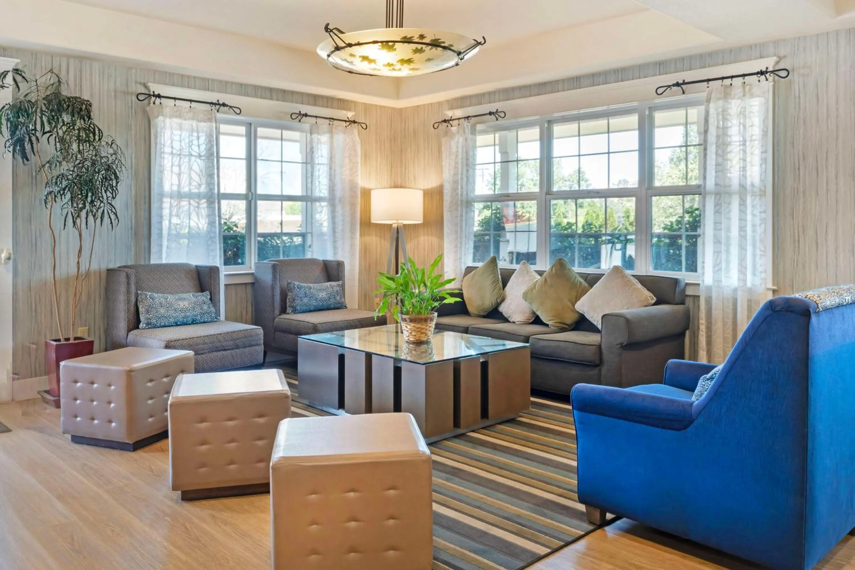 Lobby or reception in Best Western Cedar Inn & Suites