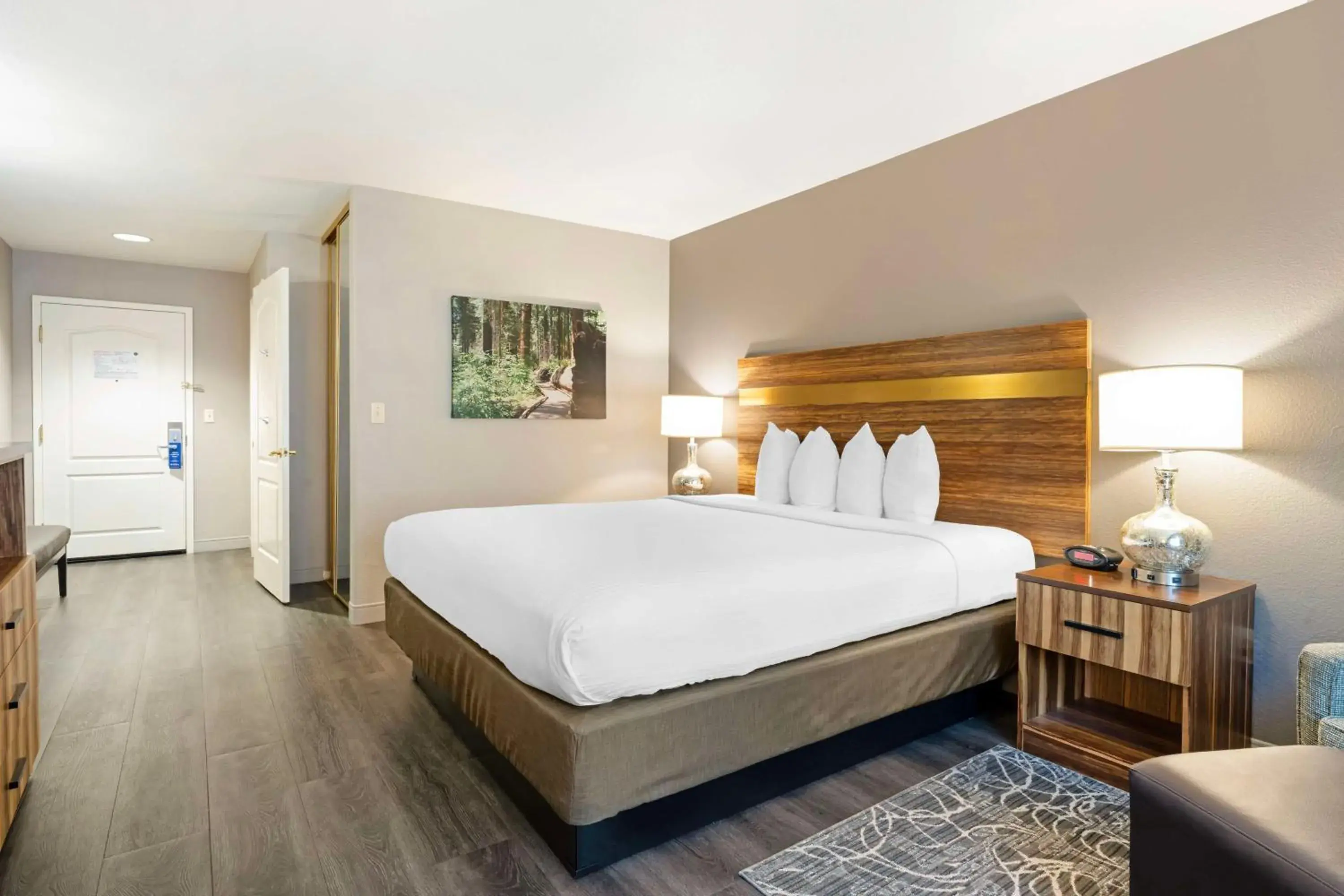 King Room with Roll in Shower - Disability Access in Best Western Cedar Inn & Suites King Room with Roll in Shower - Disability Access in Best Western Cedar Inn & Suites