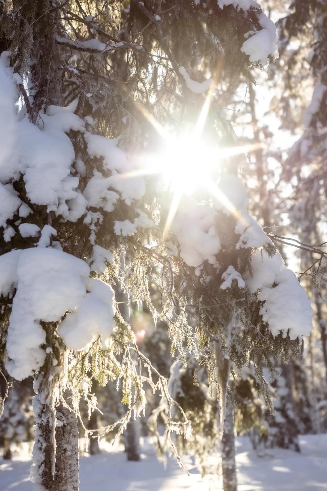 Inner courtyard view in Villa Happy Fox