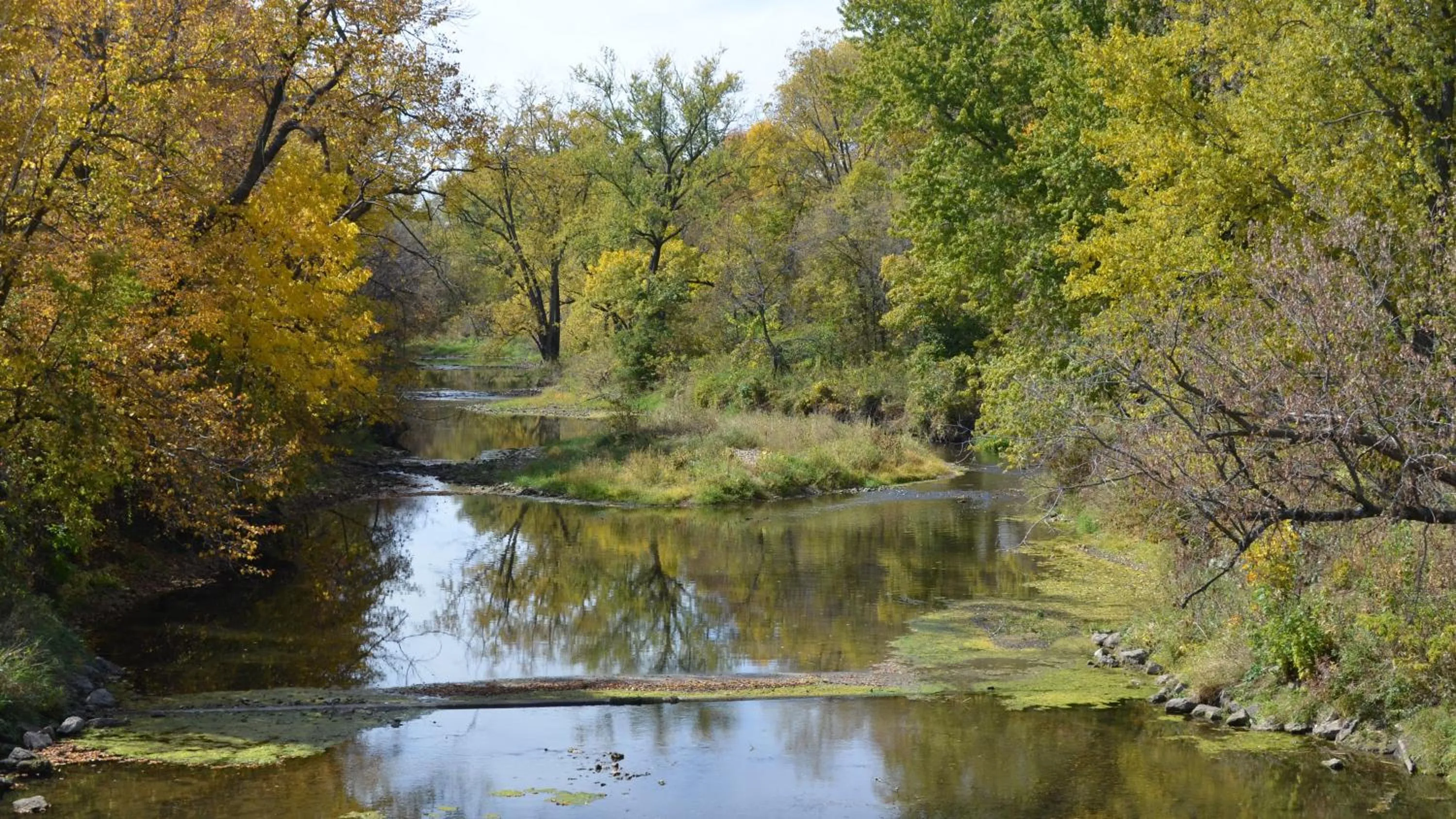 Boarders Inn and Suites by Cobblestone Hotels - Fayette