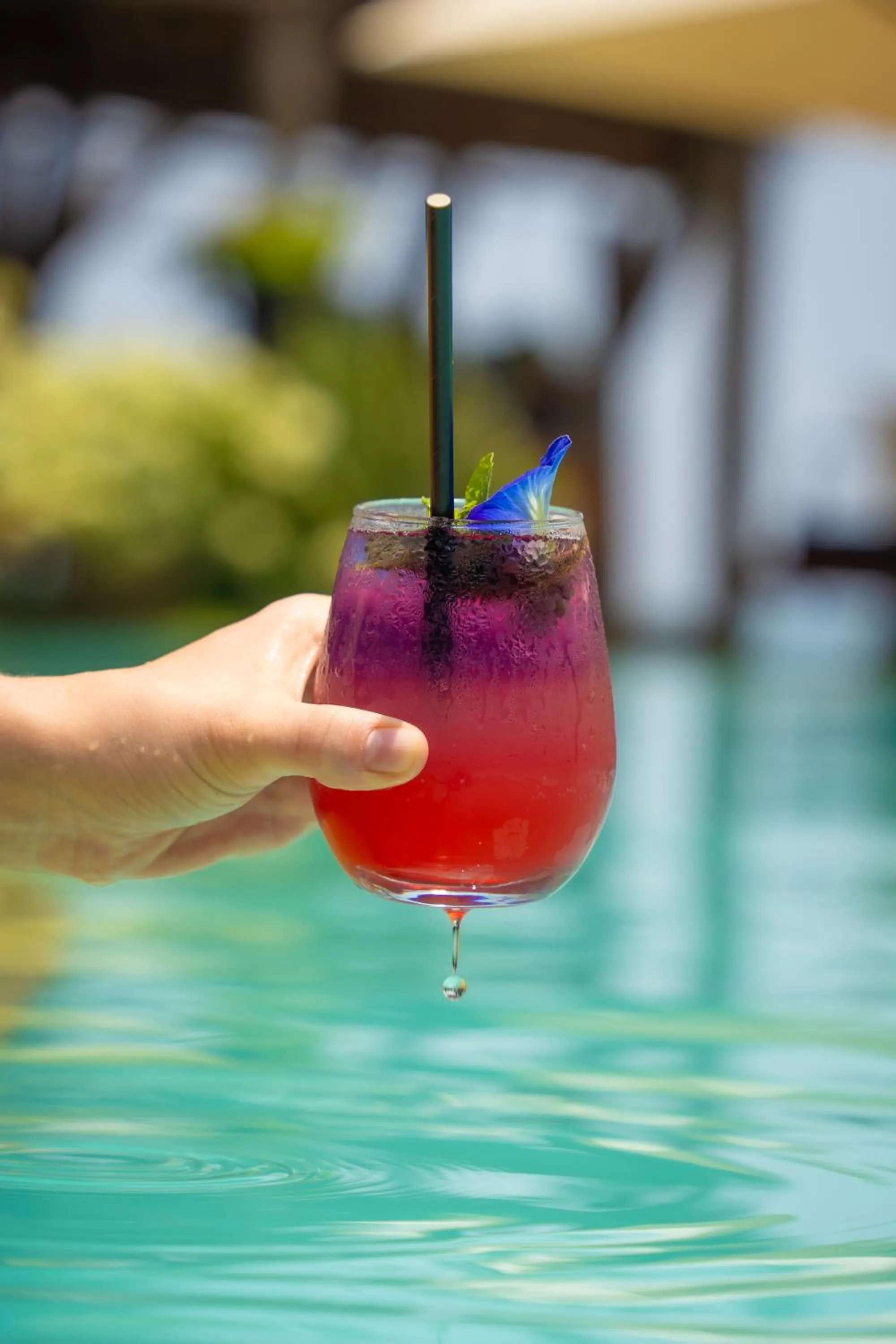 Pool view in Angel Beach Unawatuna