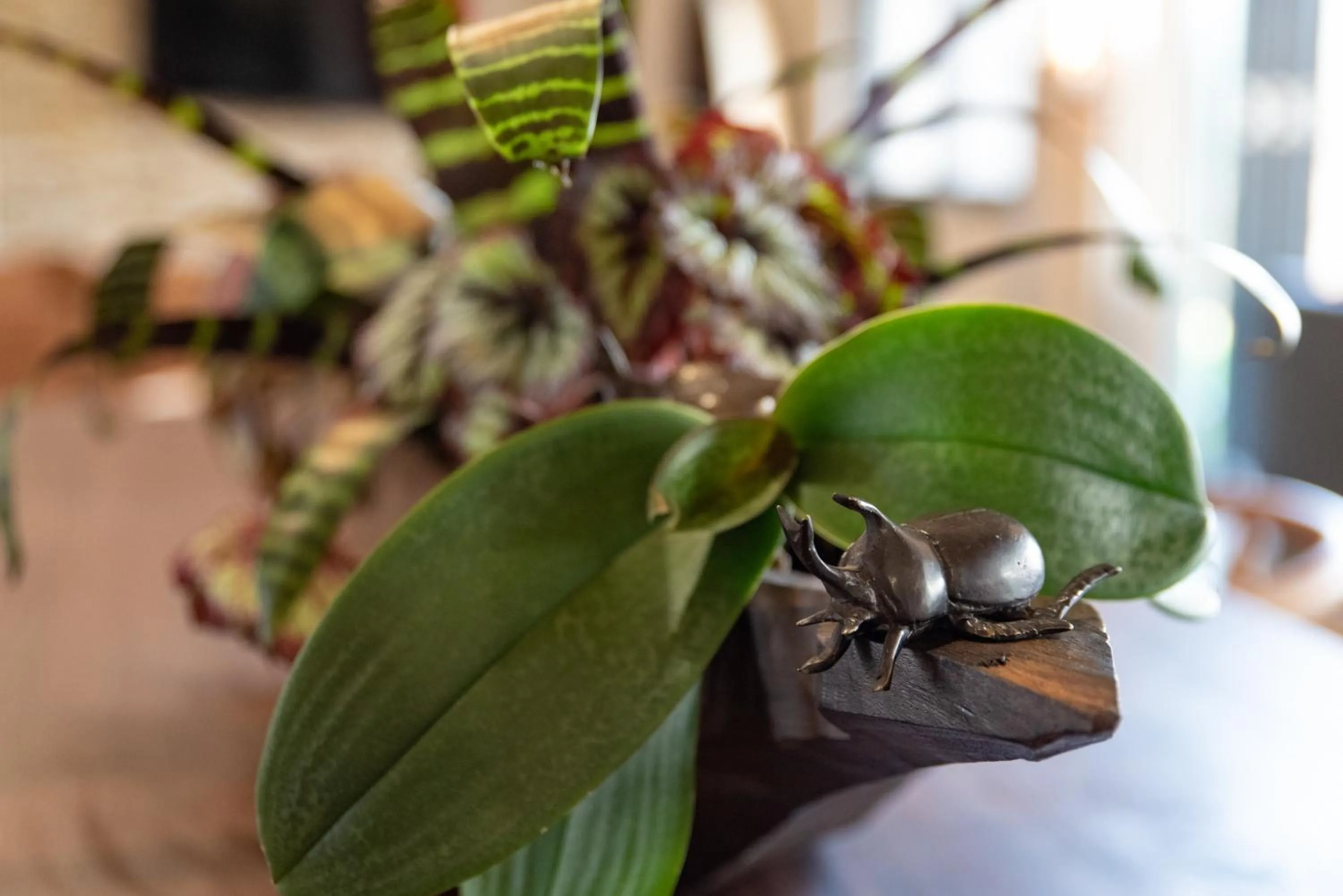 Restaurant/places to eat in Moya Safari Villa