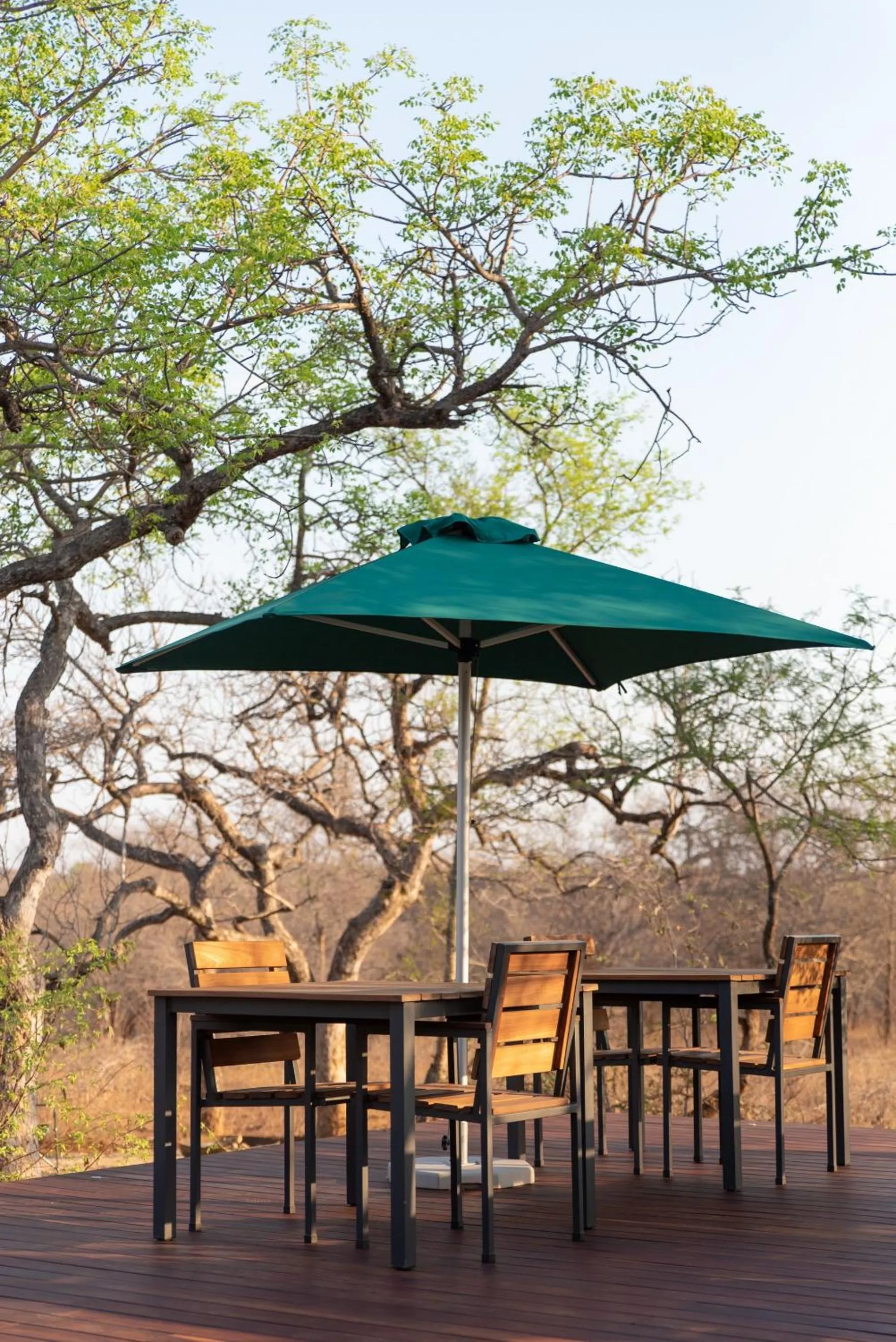 Balcony/Terrace in Moya Safari Villa