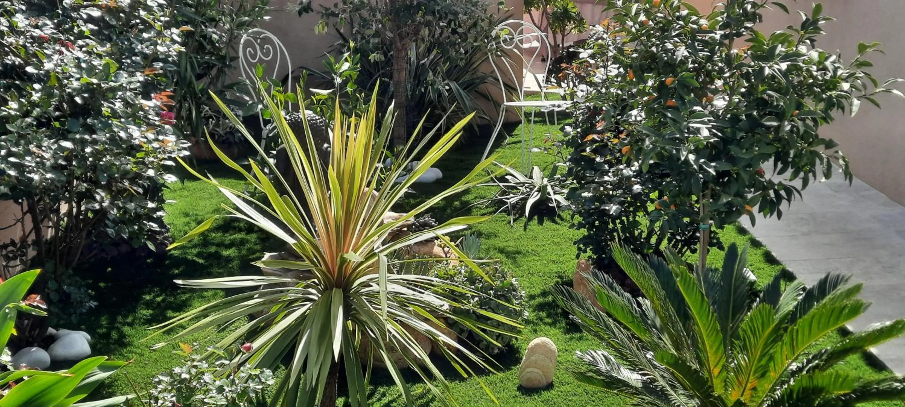 Chambre d'hôtes dans Villa Diane