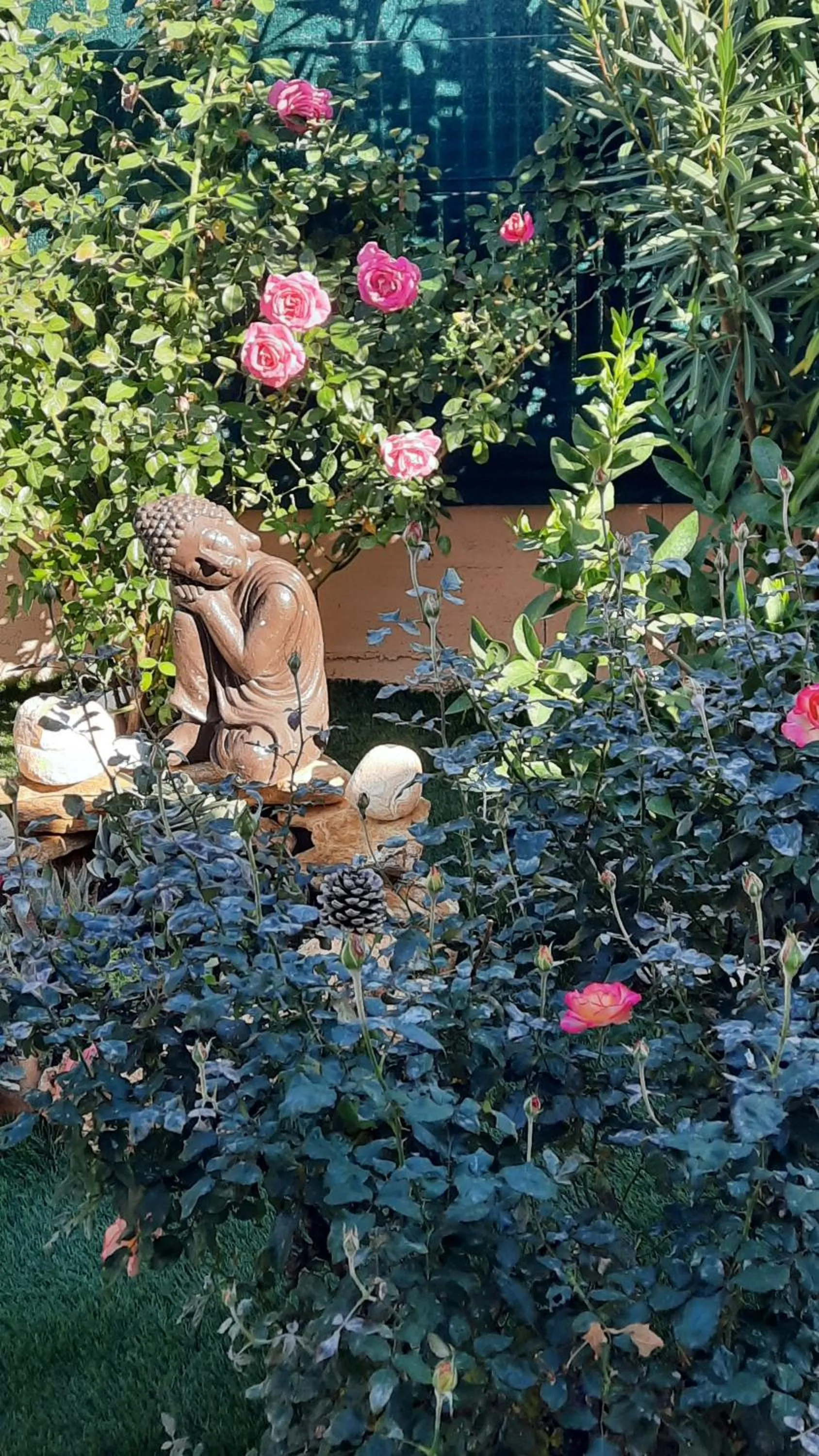 Garden view in Chambre d'hôtes dans Villa Diane