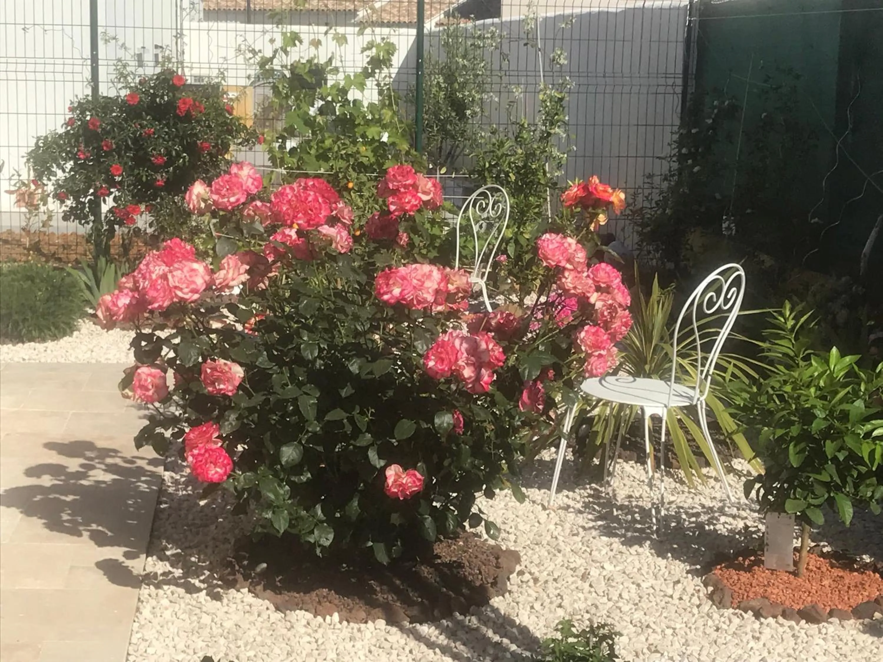 Garden in Chambre d'hôtes dans Villa Diane