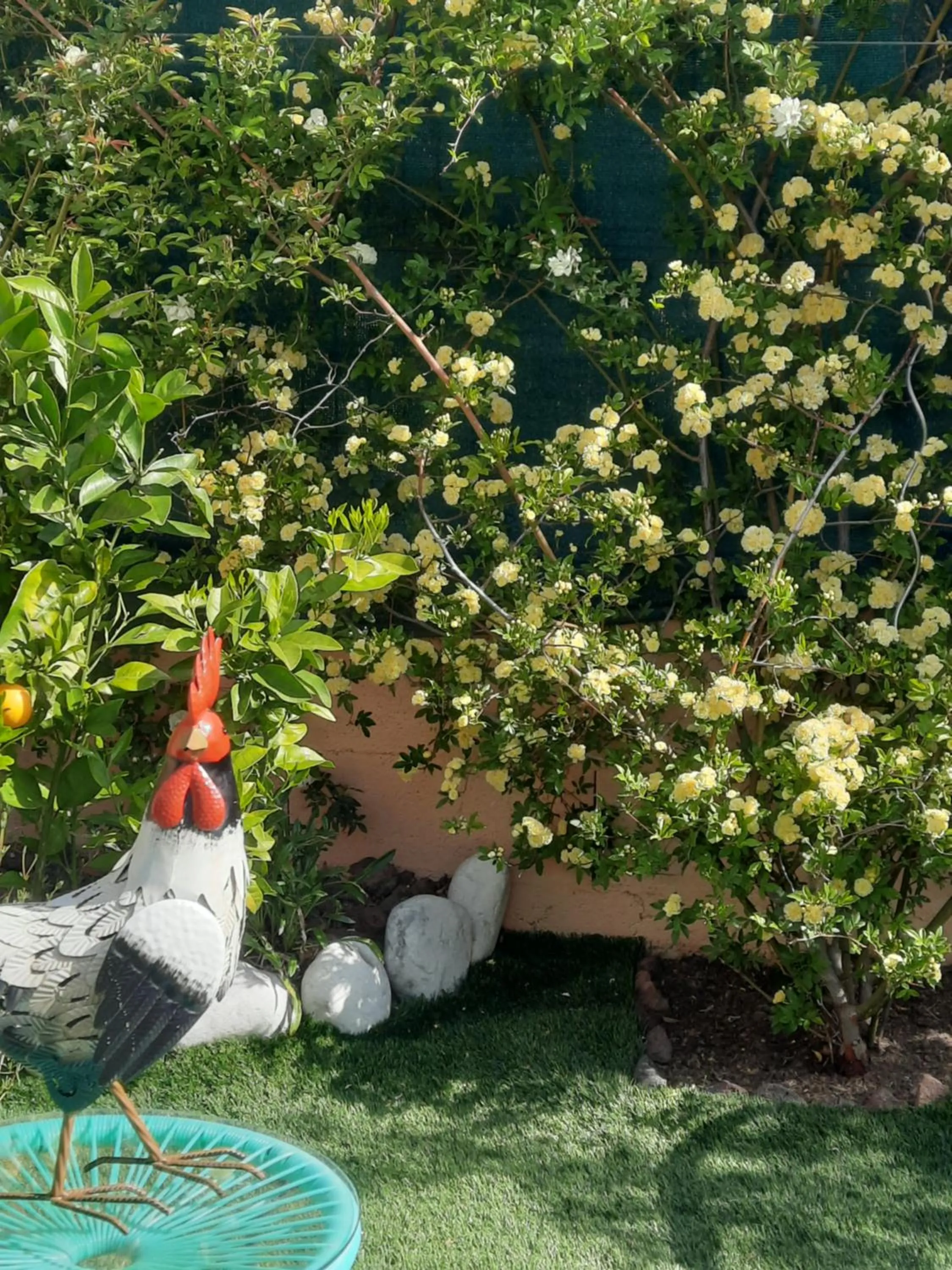 Chambre d'hôtes dans Villa Diane