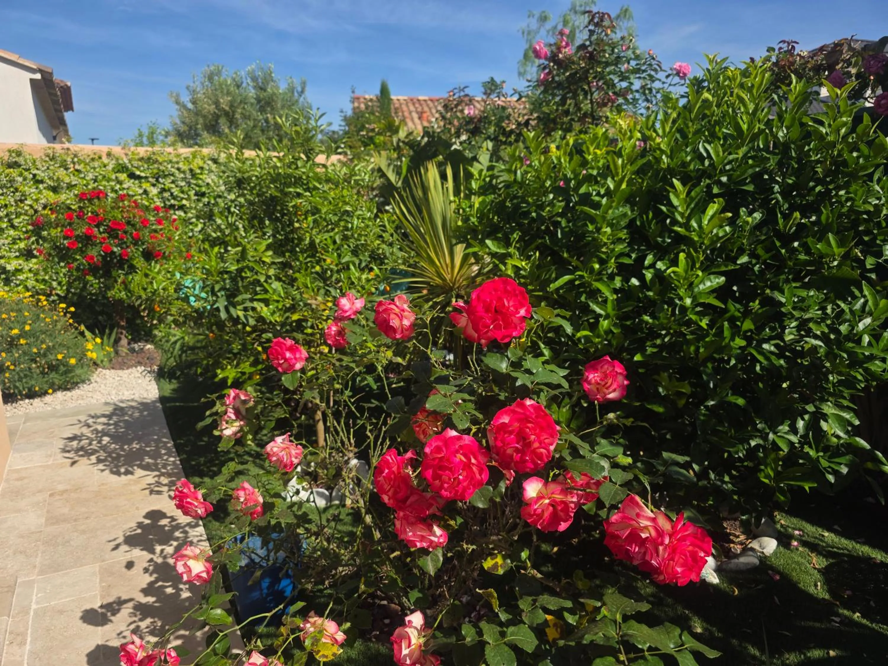 Chambre d'hôtes dans Villa Diane