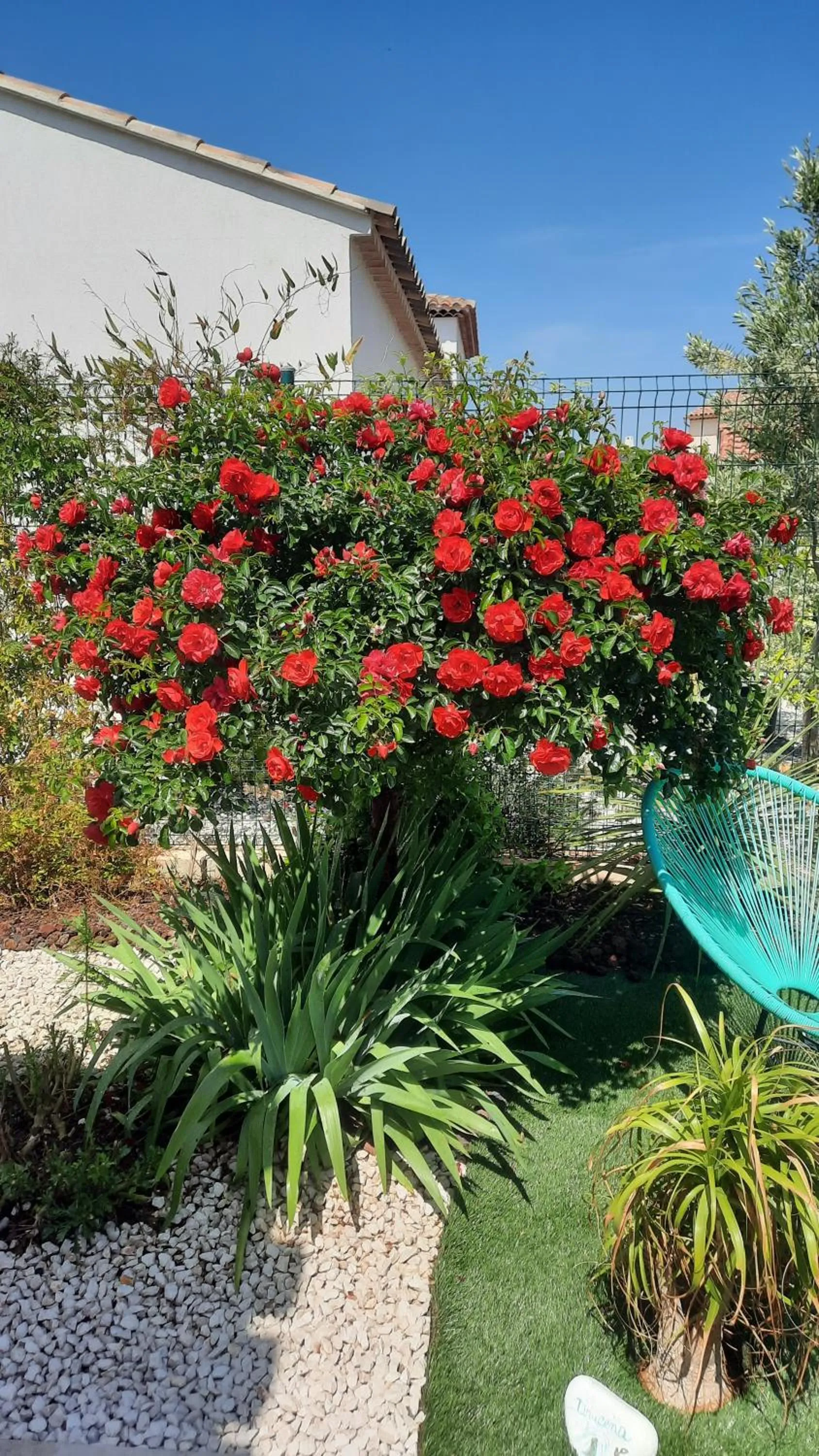 Chambre d'hôtes dans Villa Diane