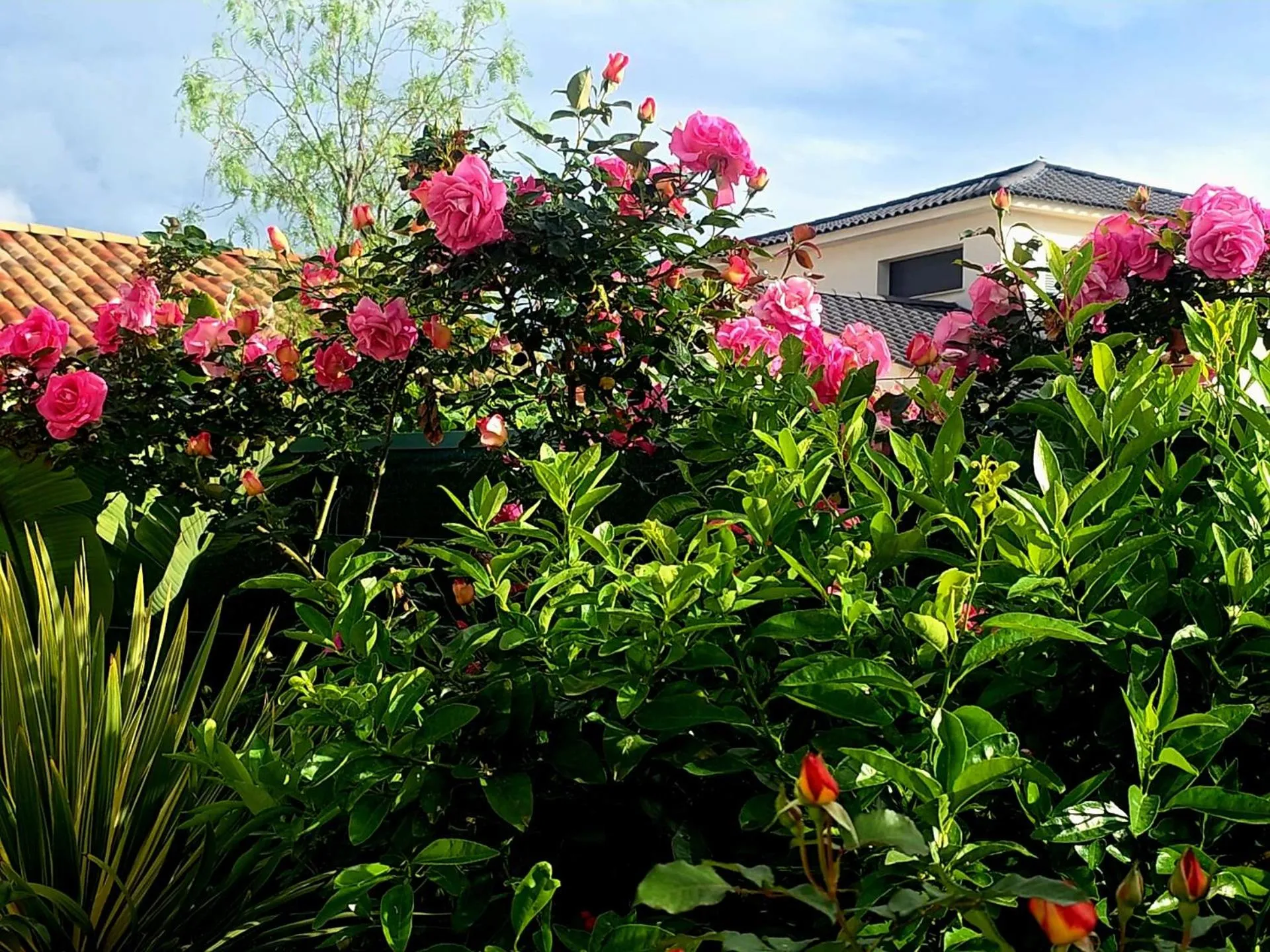 Chambre d'hôtes dans Villa Diane
