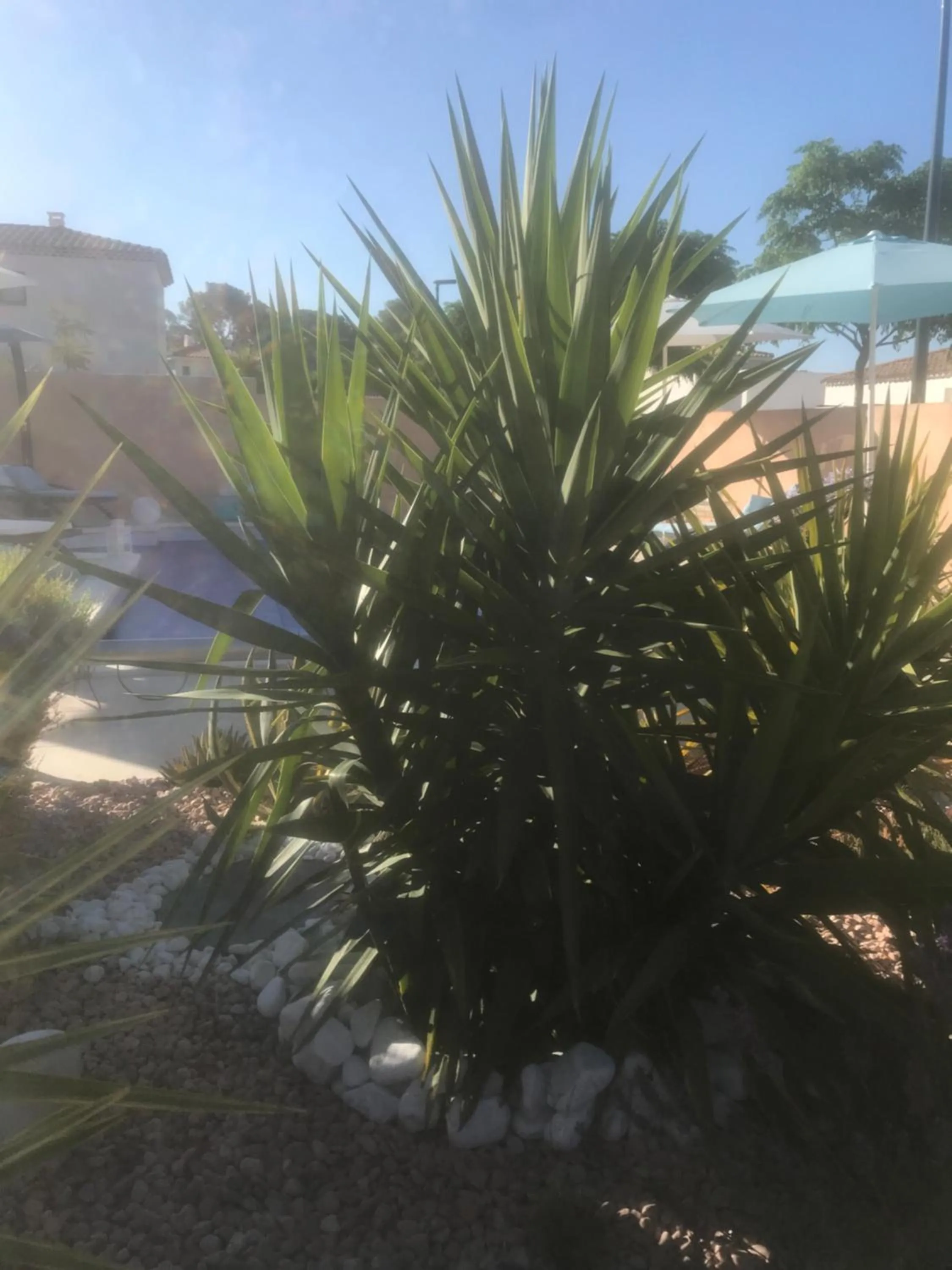 Chambre d'hôtes dans Villa Diane