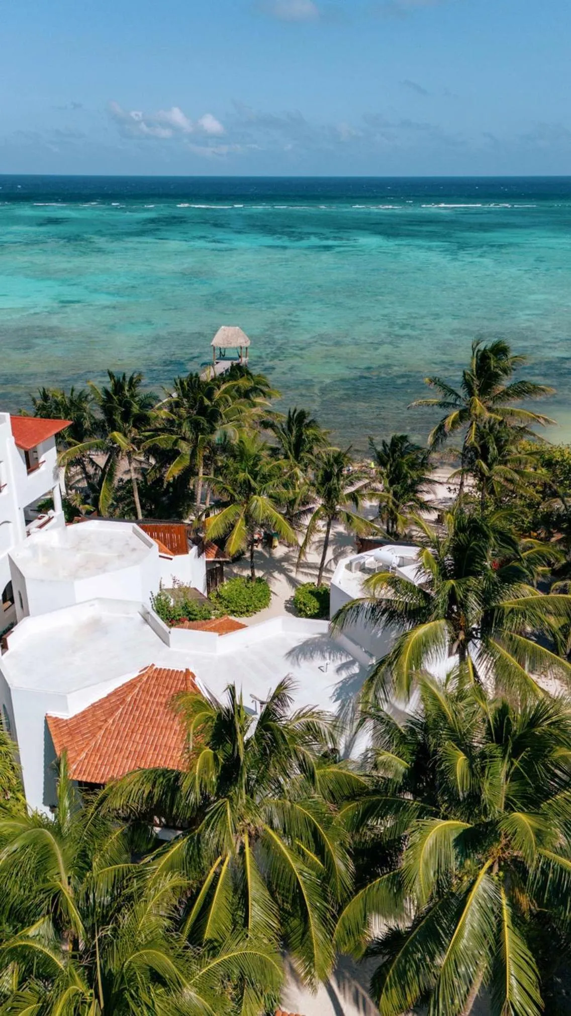 Natural landscape in Casa Colibrí Tankah