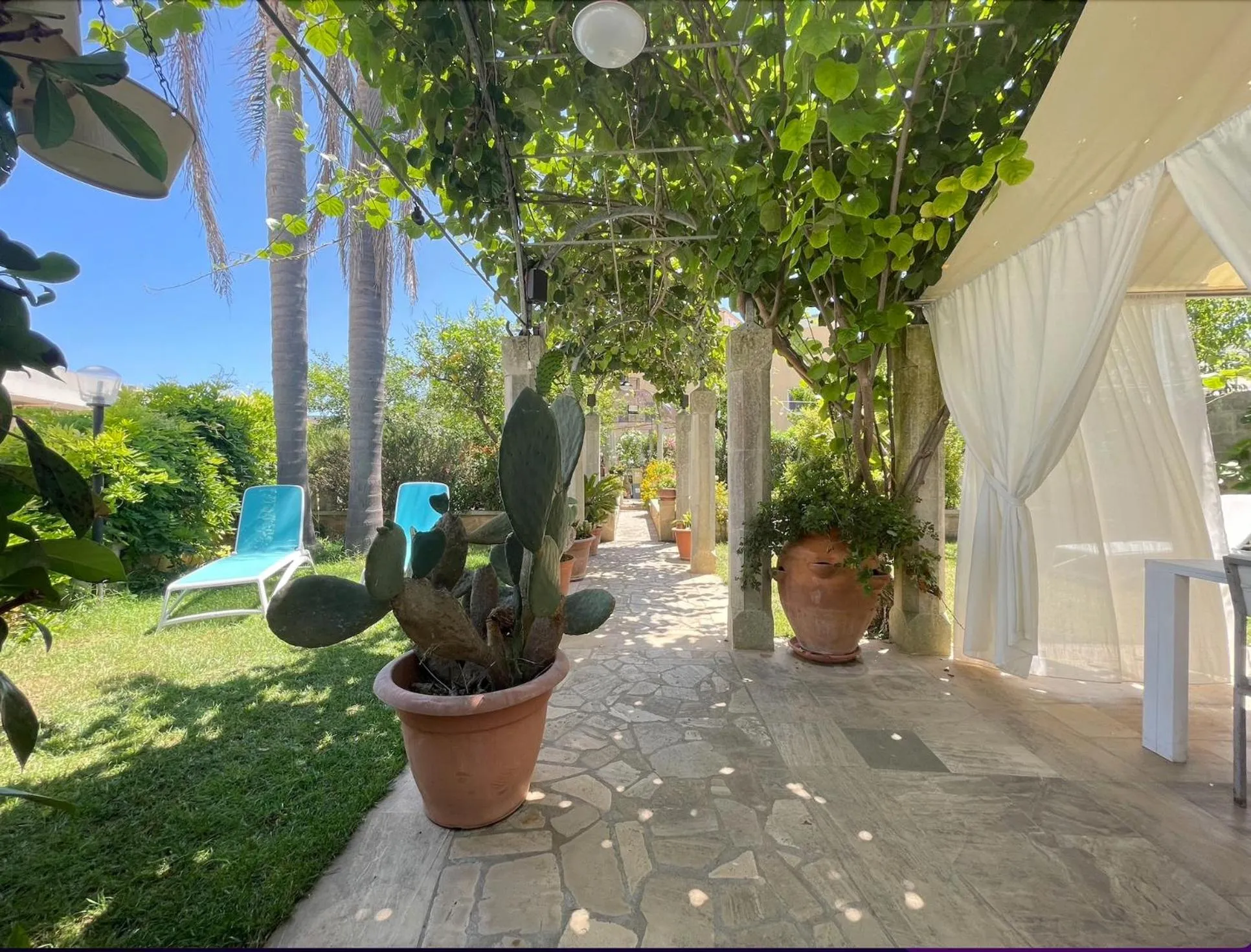 Garden in B&b Ophelia