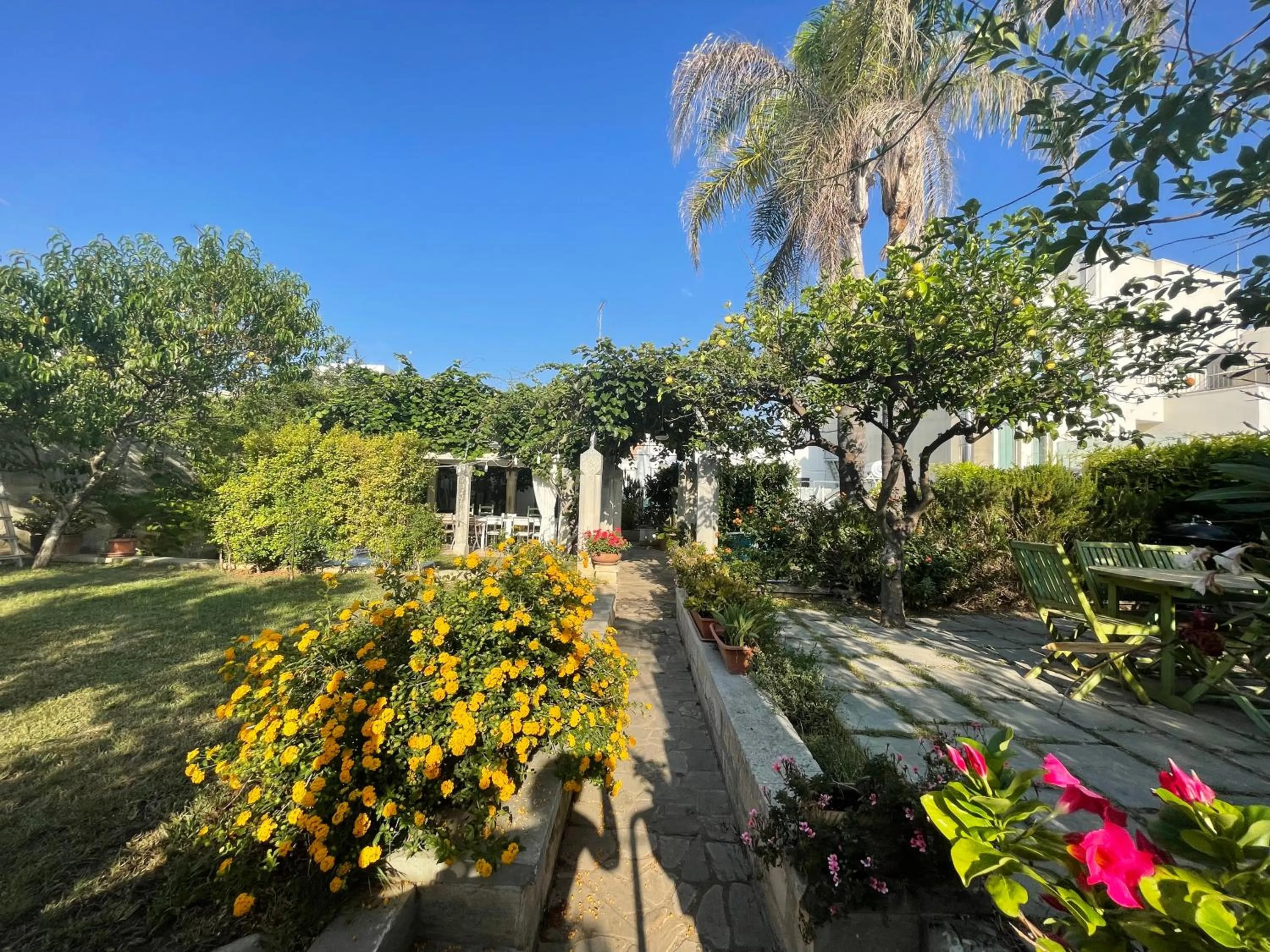 Garden in B&b Ophelia