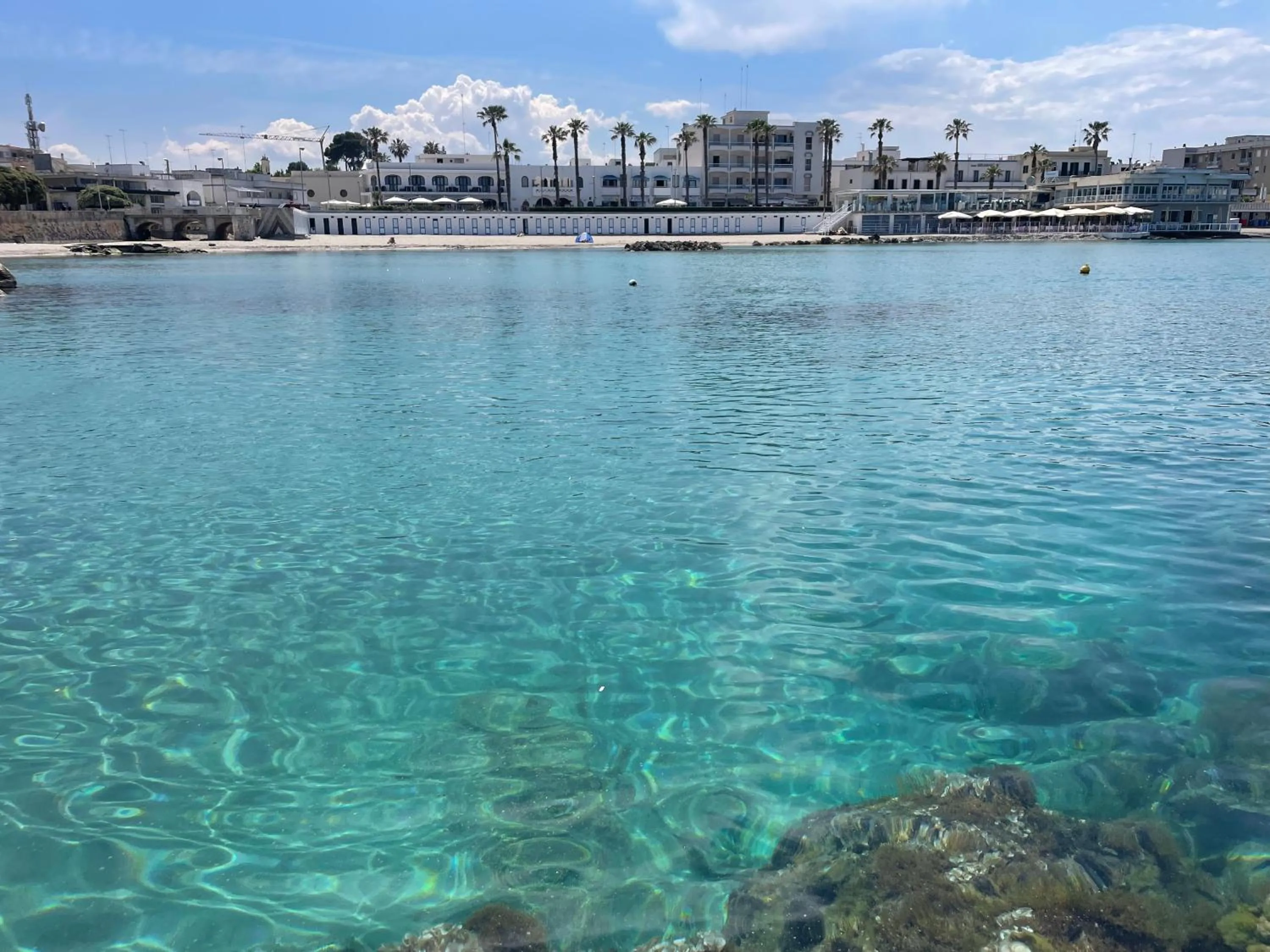 Natural landscape in B&b Ophelia
