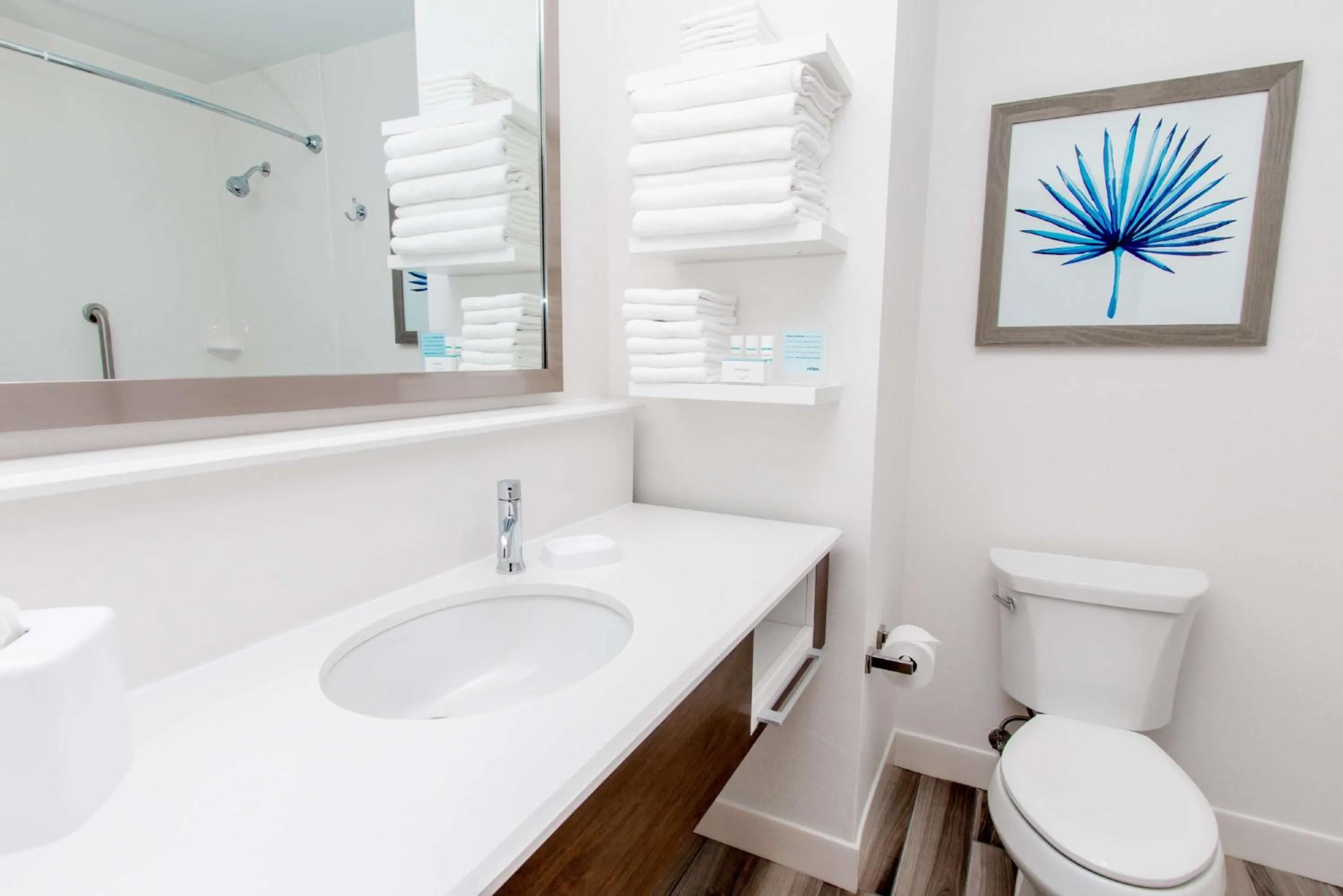 Bathroom in Hampton Inn & Suites Panama City Beach-Beachfront