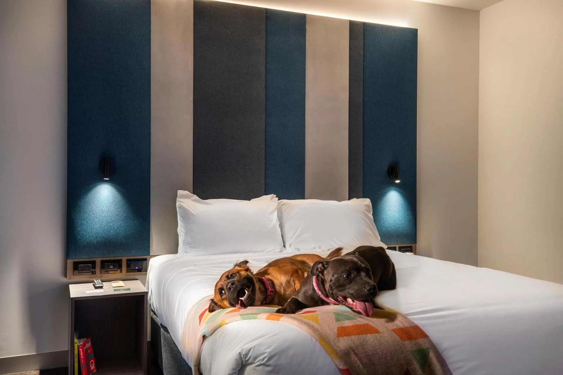 Pets in Ink Hotel Melbourne Southbank