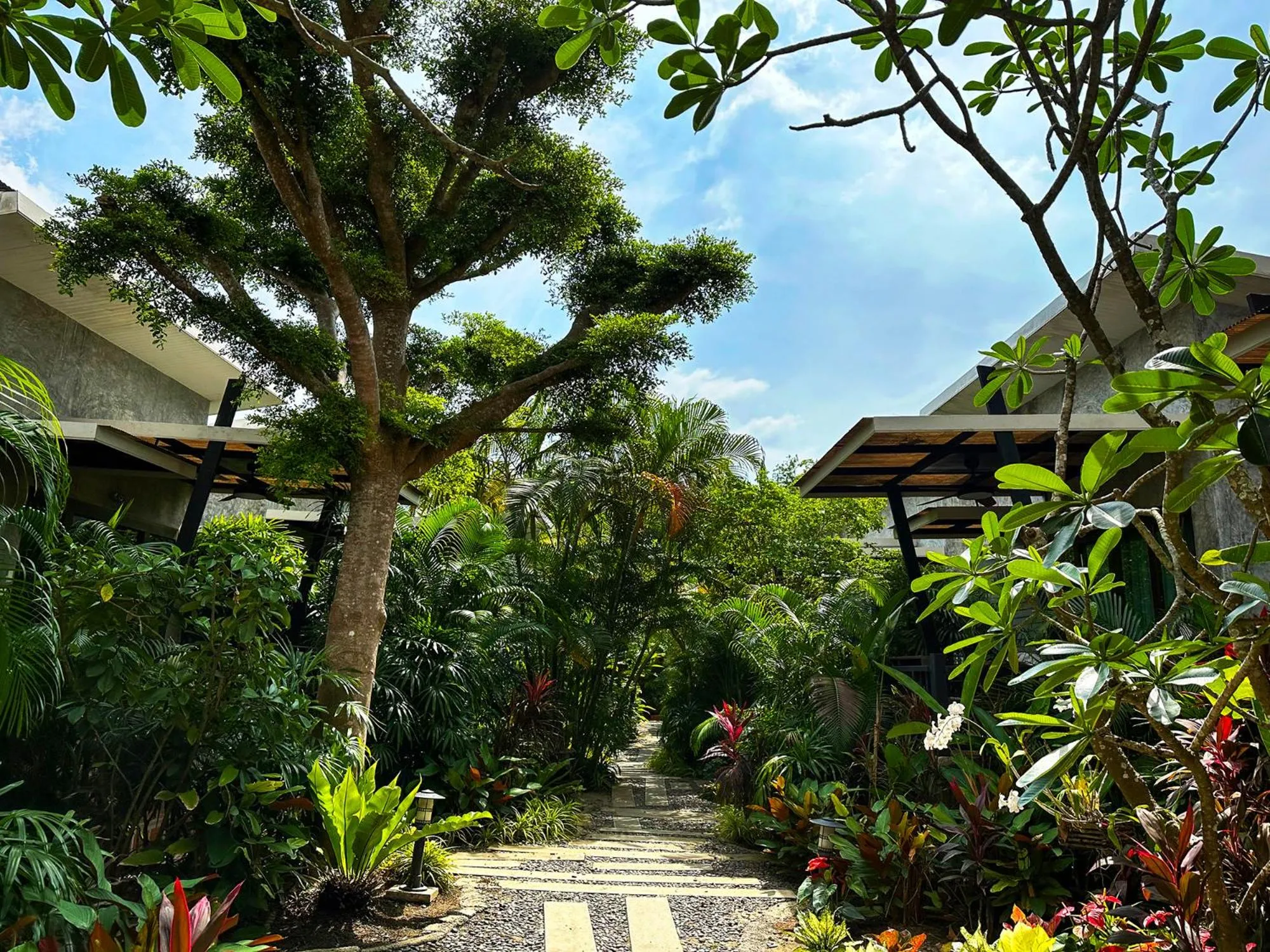 Dreamville Koh Phangan