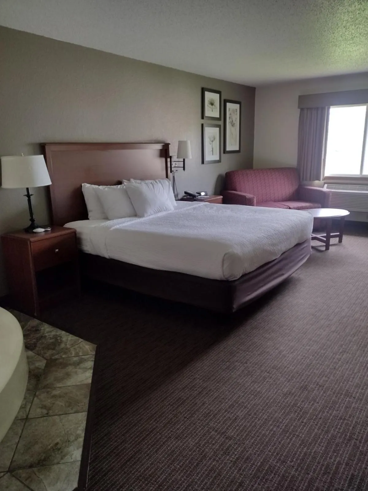 Hot Tub, Bed in AmericInn by Wyndham Red Wing