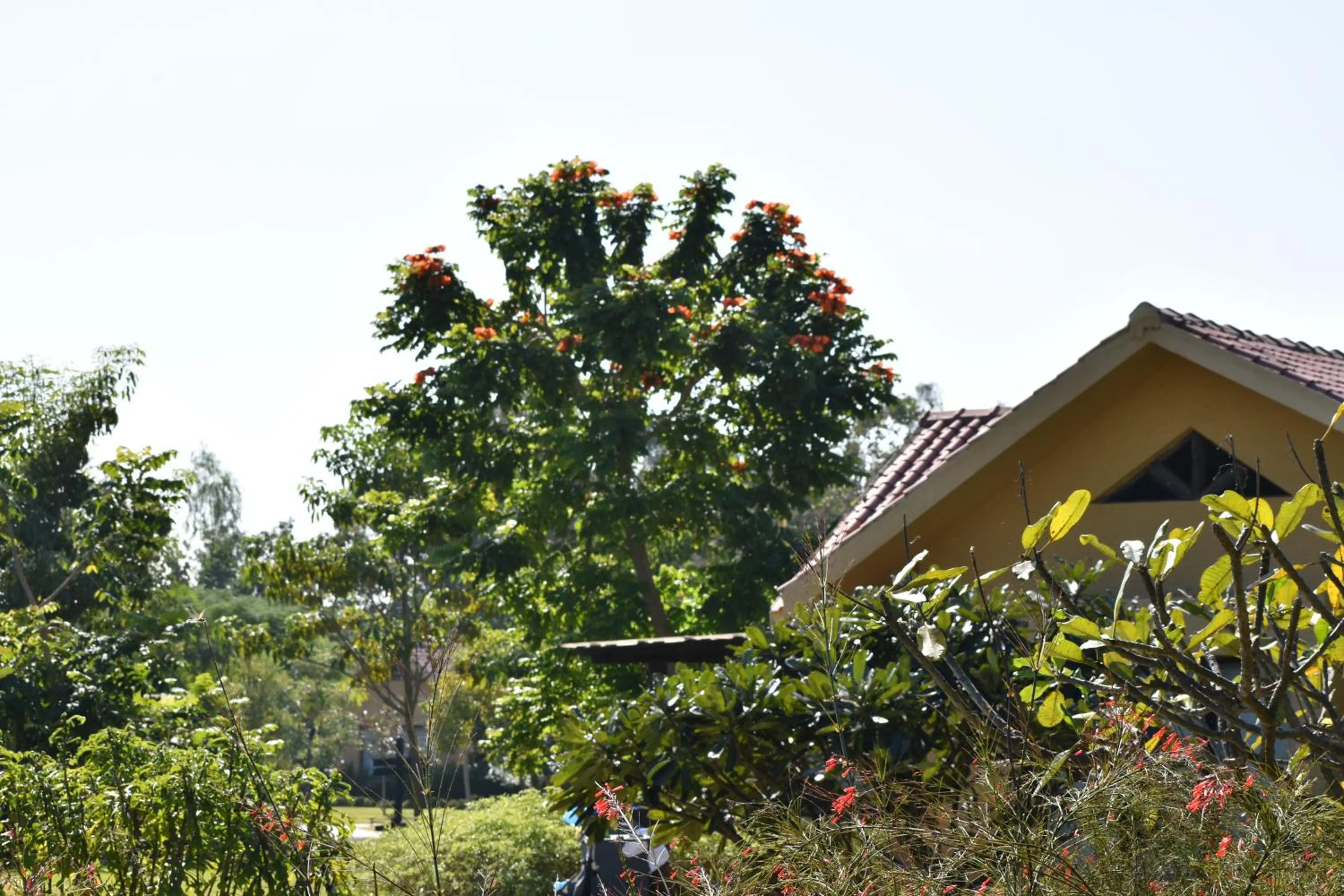Restaurant/places to eat in WelcomHeritage Tadoba Vanya Villas Resort & Spa