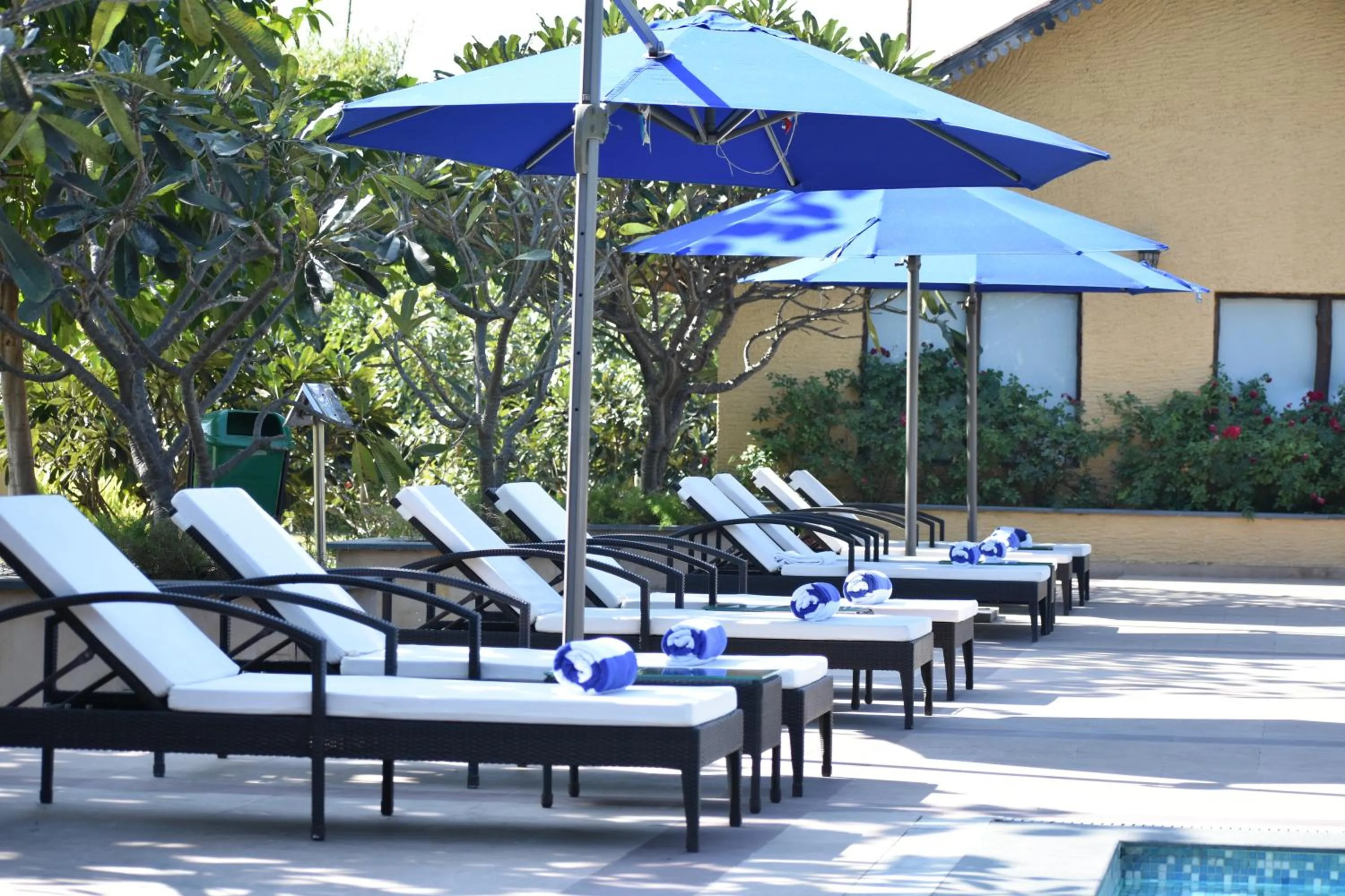 Pool view in WelcomHeritage Tadoba Vanya Villas Resort & Spa
