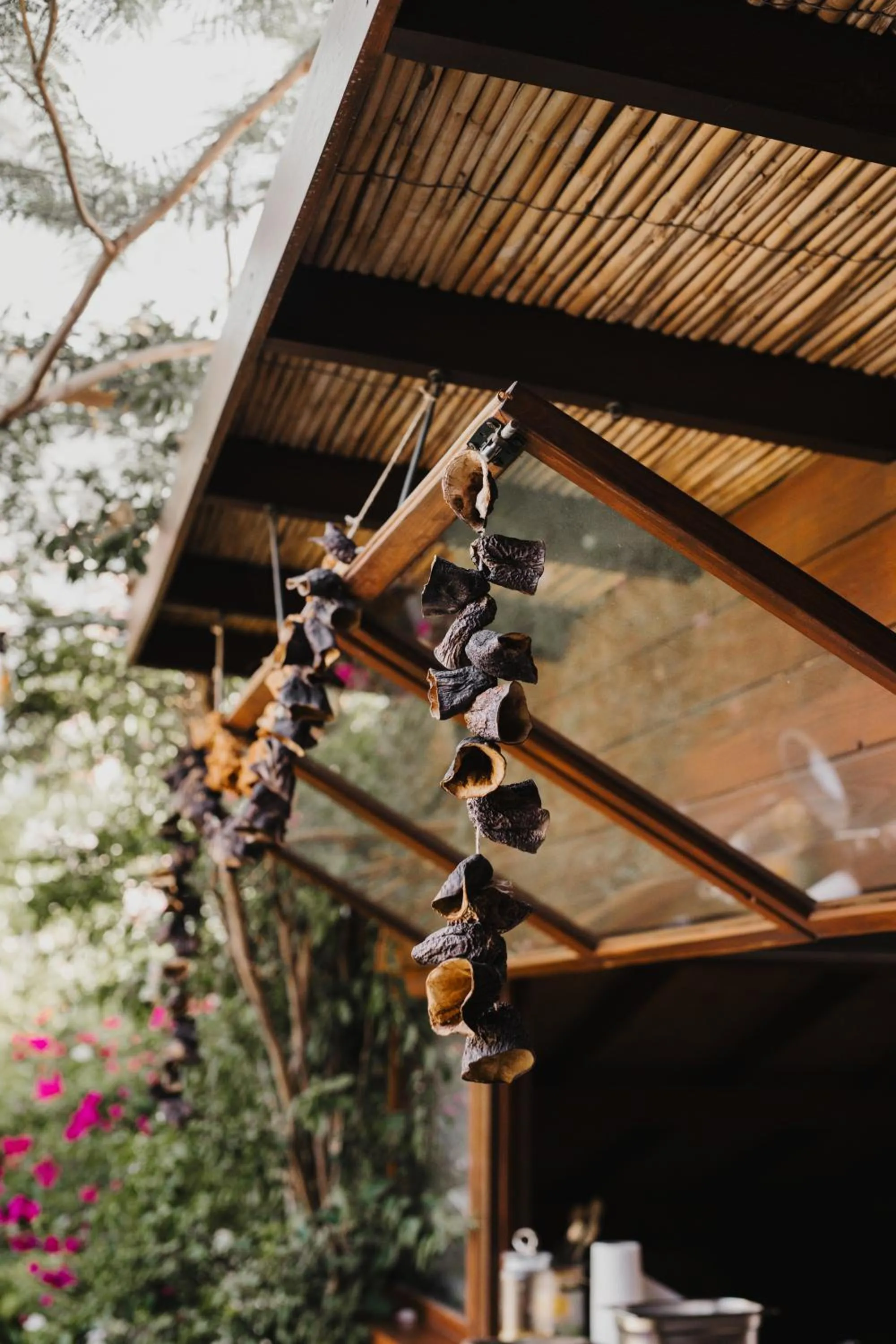 Day in Pachamama Alaçatı