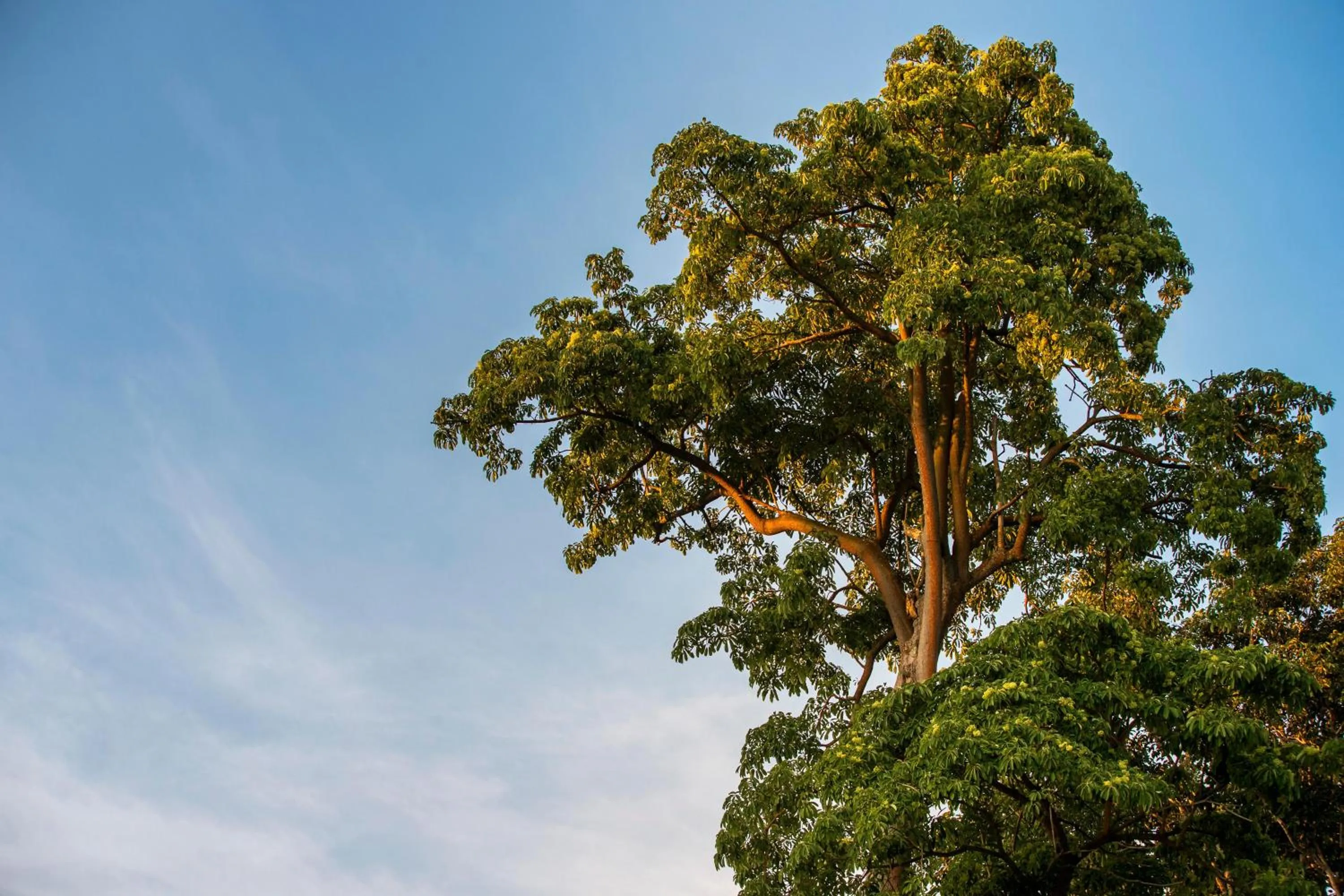 Natural landscape in One&Only Desaru Coast