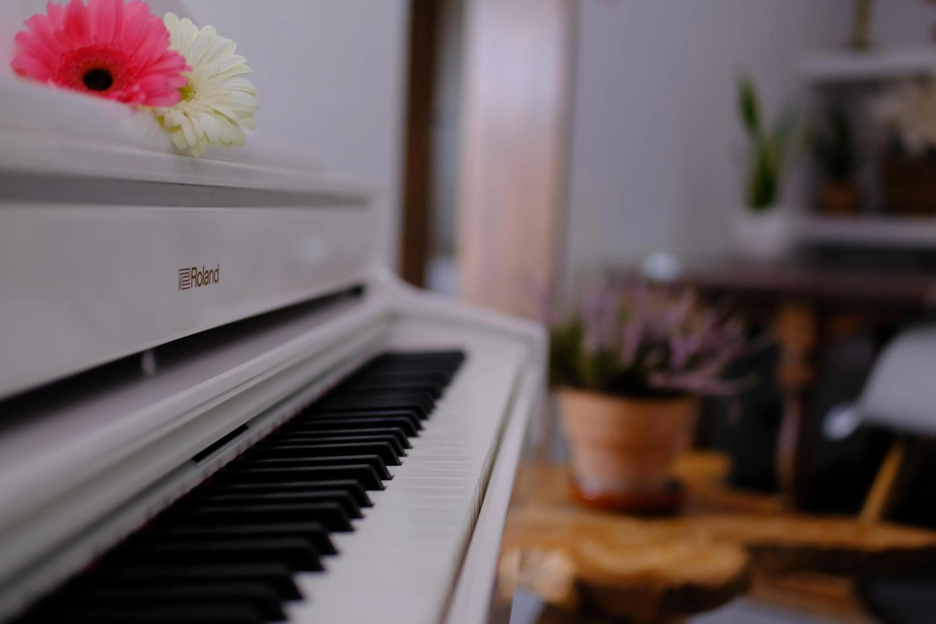 Casa Caimari Guest House, for mountain lovers!