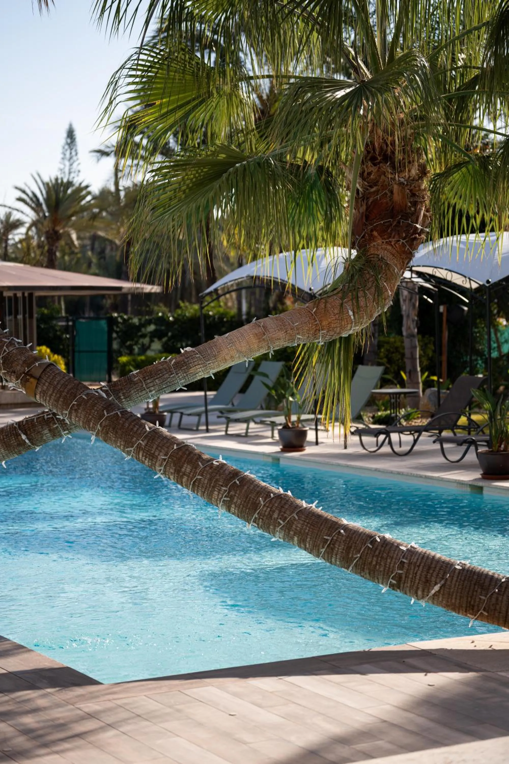 Swimming pool in Hotel Boutique Hort de Nal