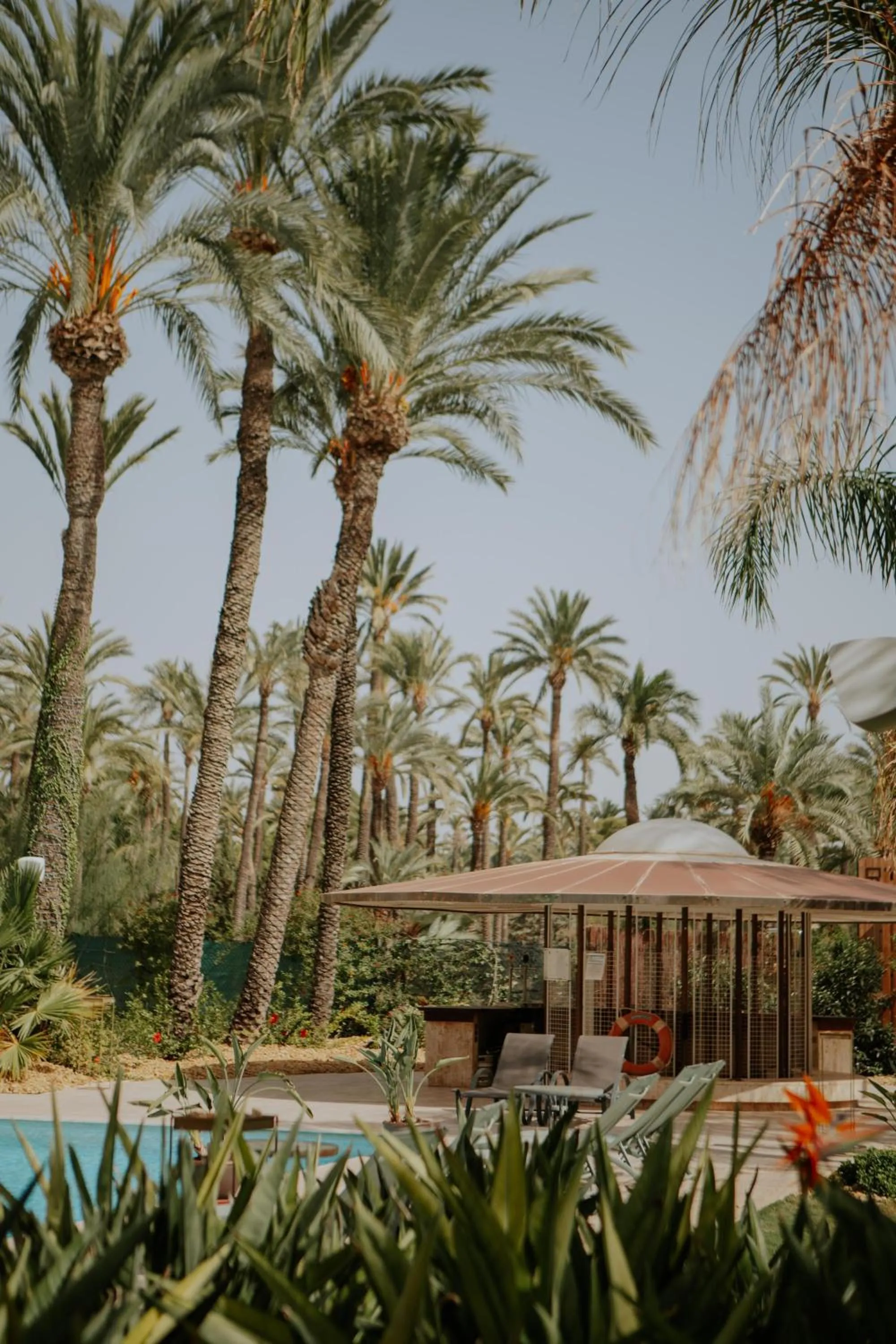 Balcony/Terrace in Hotel Boutique Hort de Nal