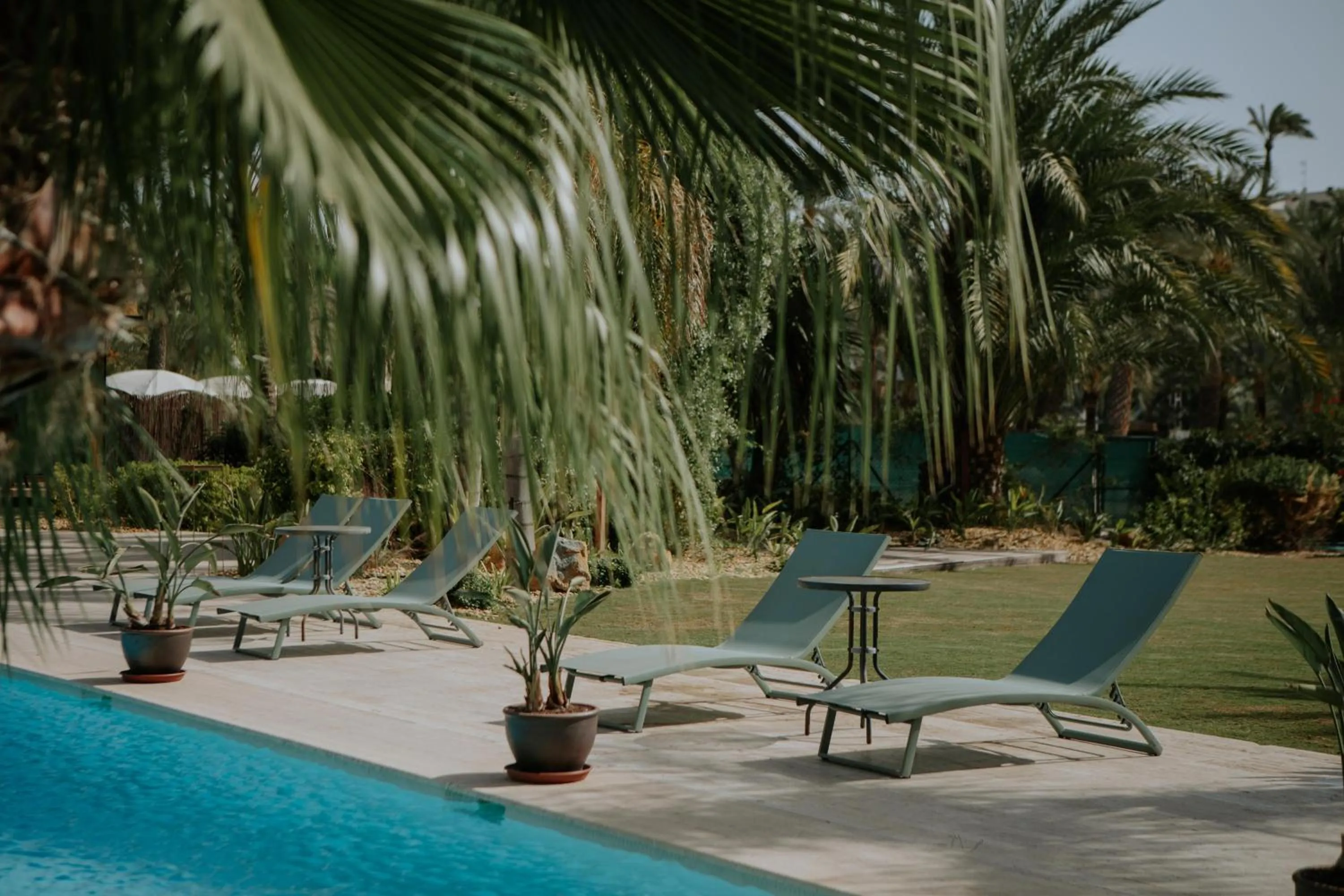 Balcony/Terrace in Hotel Boutique Hort de Nal