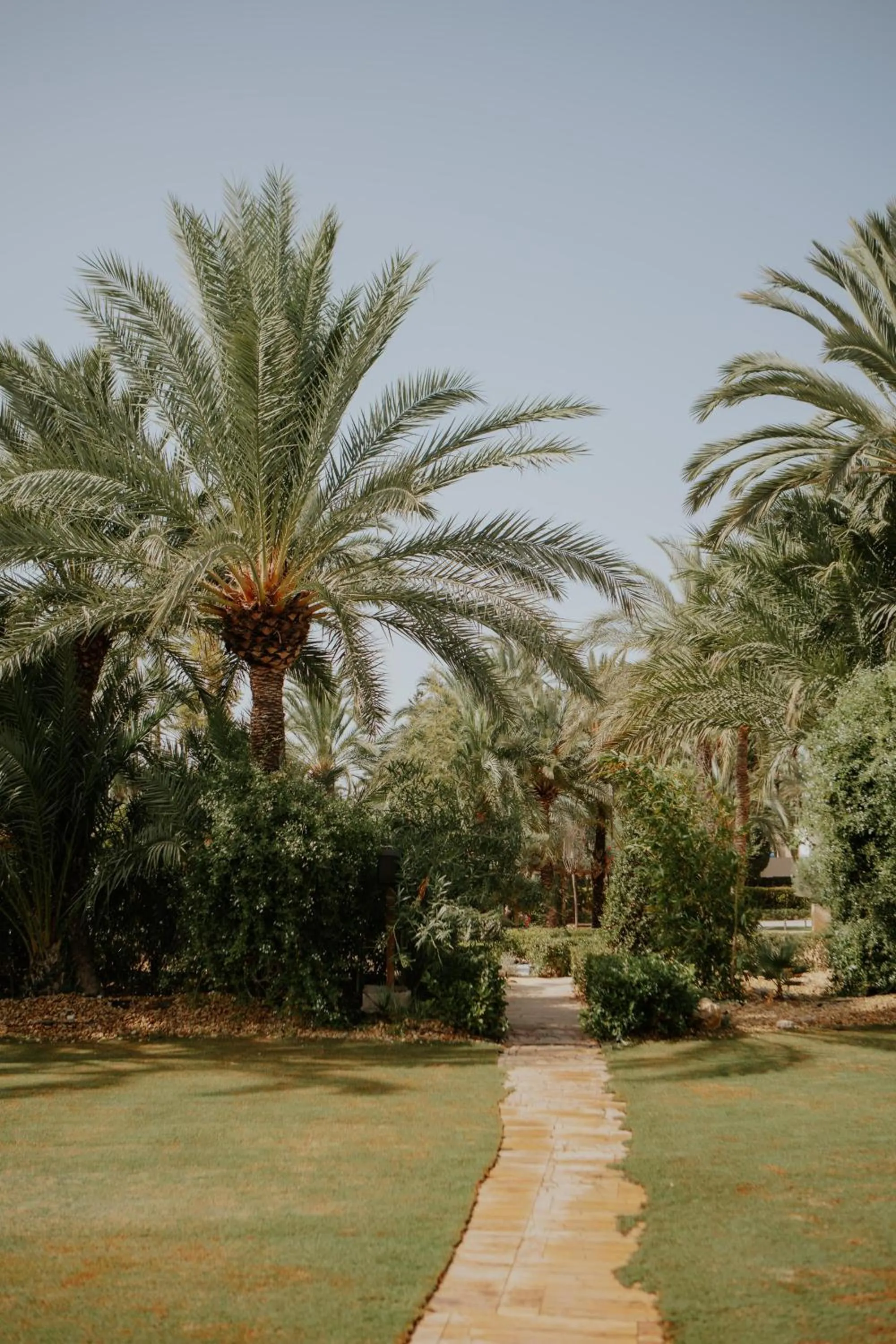 Garden in Hotel Boutique Hort de Nal