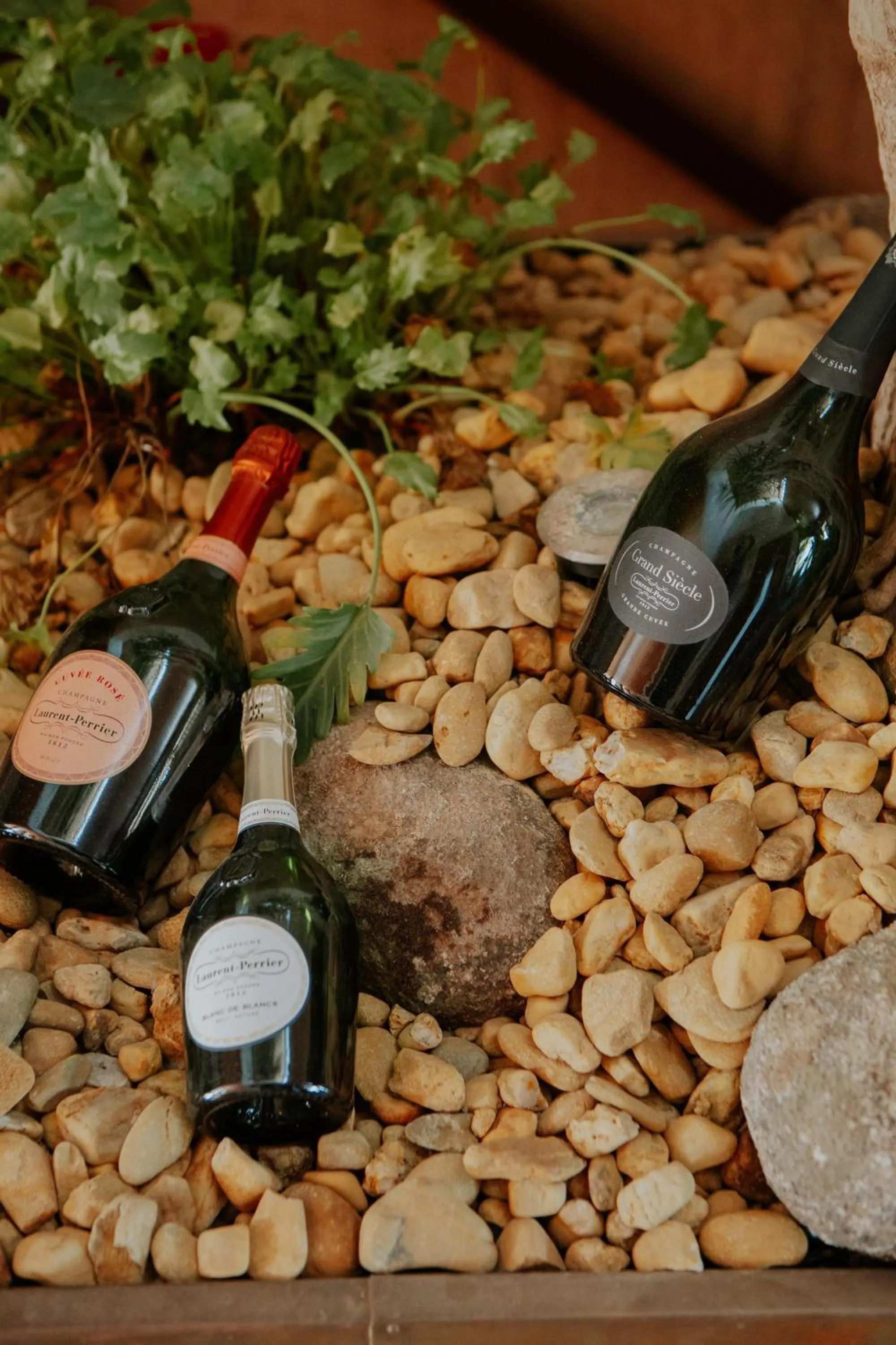 Restaurant/places to eat in Hotel Boutique Hort de Nal