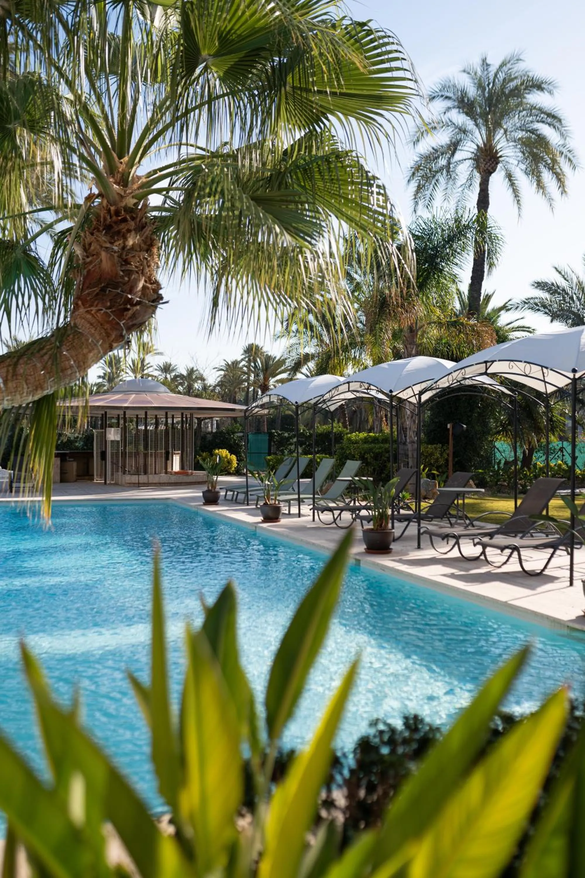 Swimming pool in Hotel Boutique Hort de Nal