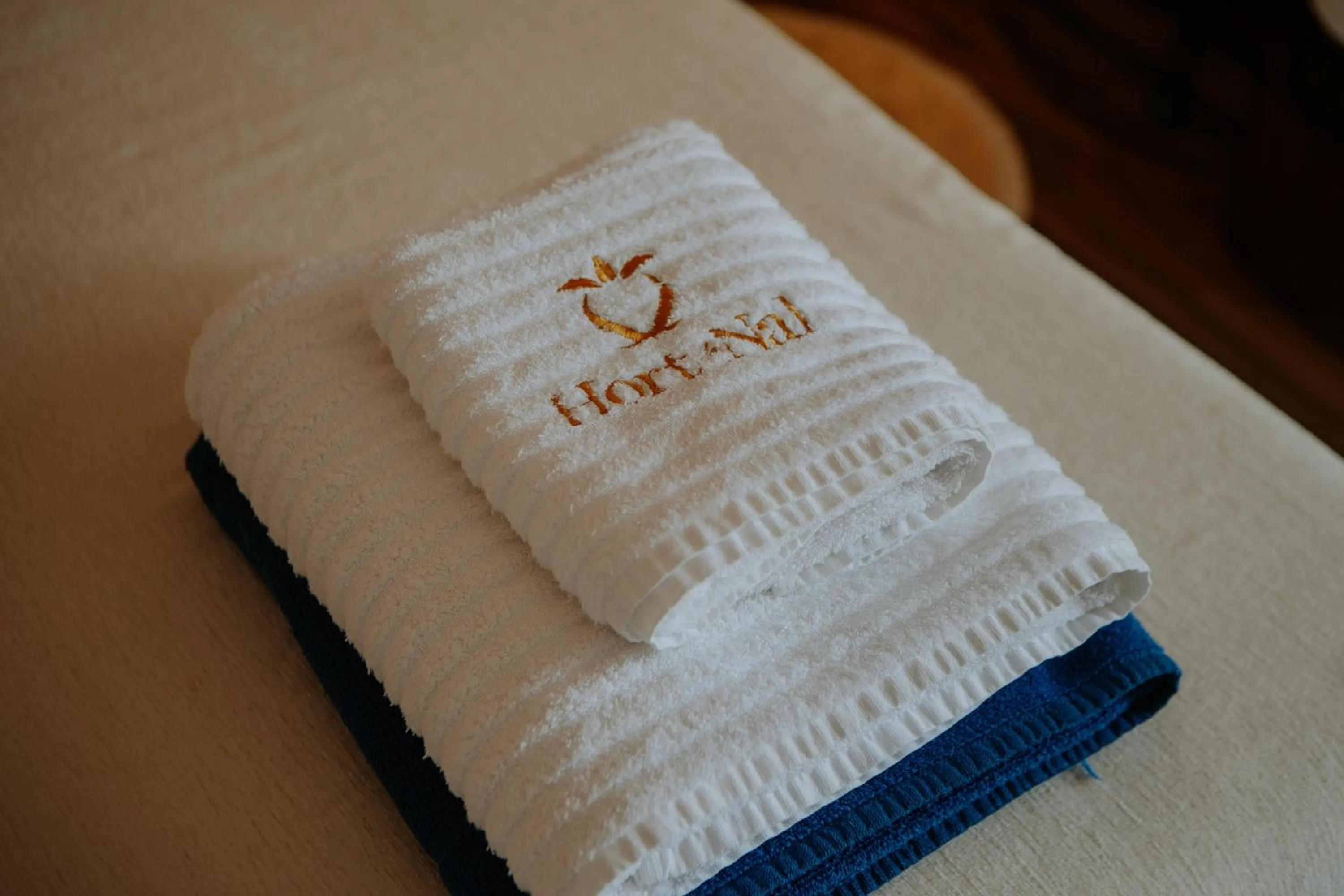 Photo of the whole room in Hotel Boutique Hort de Nal