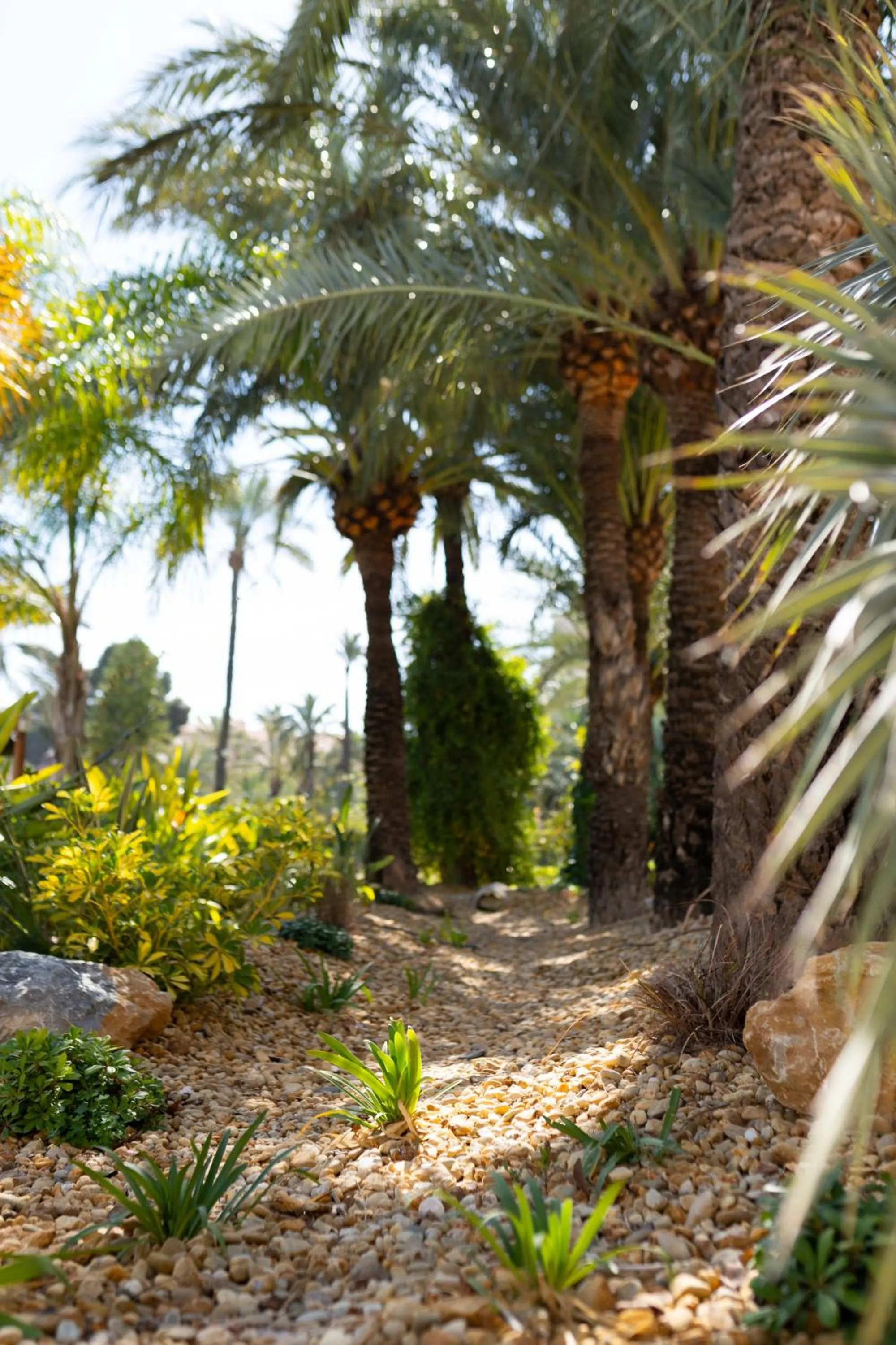 Garden in Hotel Boutique Hort de Nal