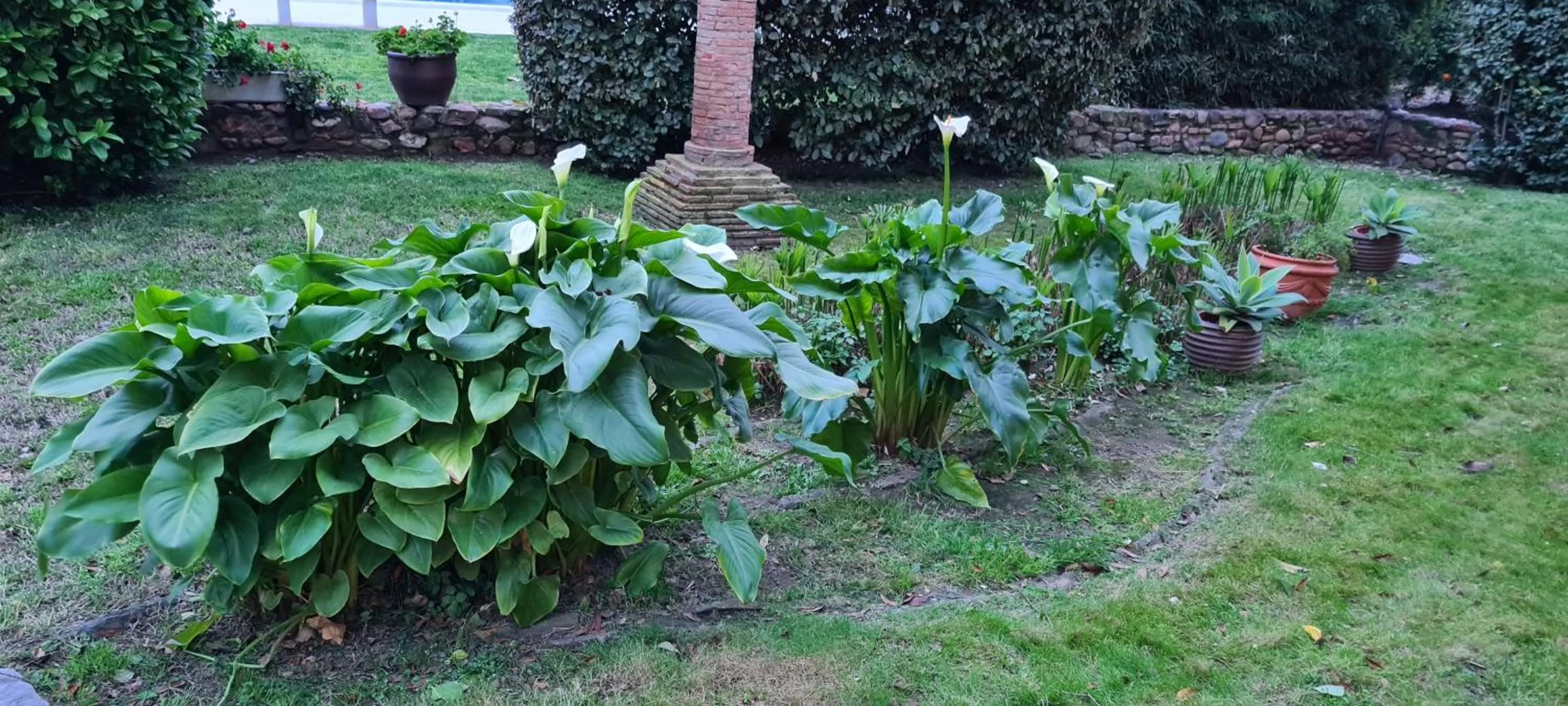 Garden in Alquería Calatrava B&B