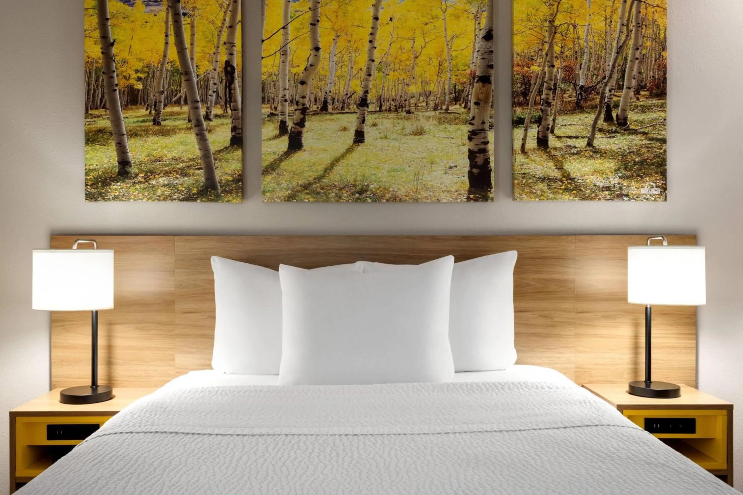 Photo of the whole room, Bed in Days Inn by Wyndham Worland