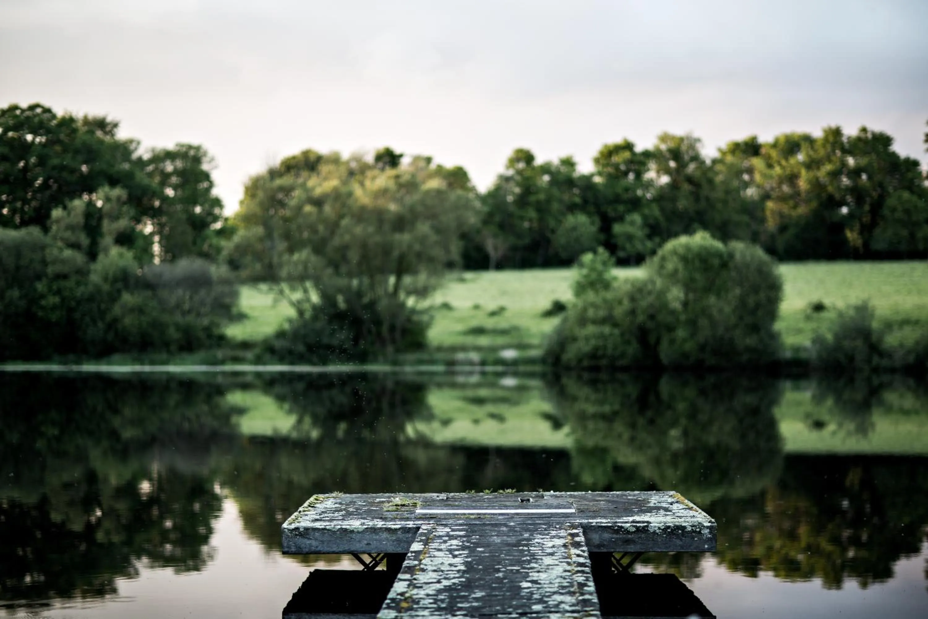 Natural landscape in Domaine des Etangs, Auberge Collection