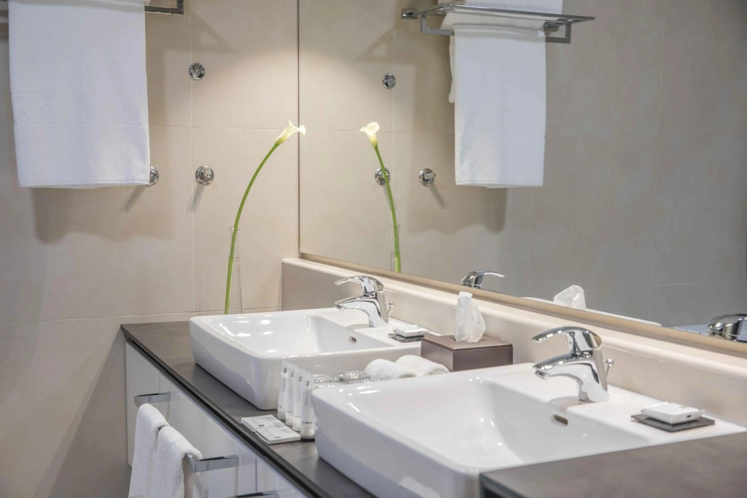 Bathroom in Bosmal Arjaan by Rotana