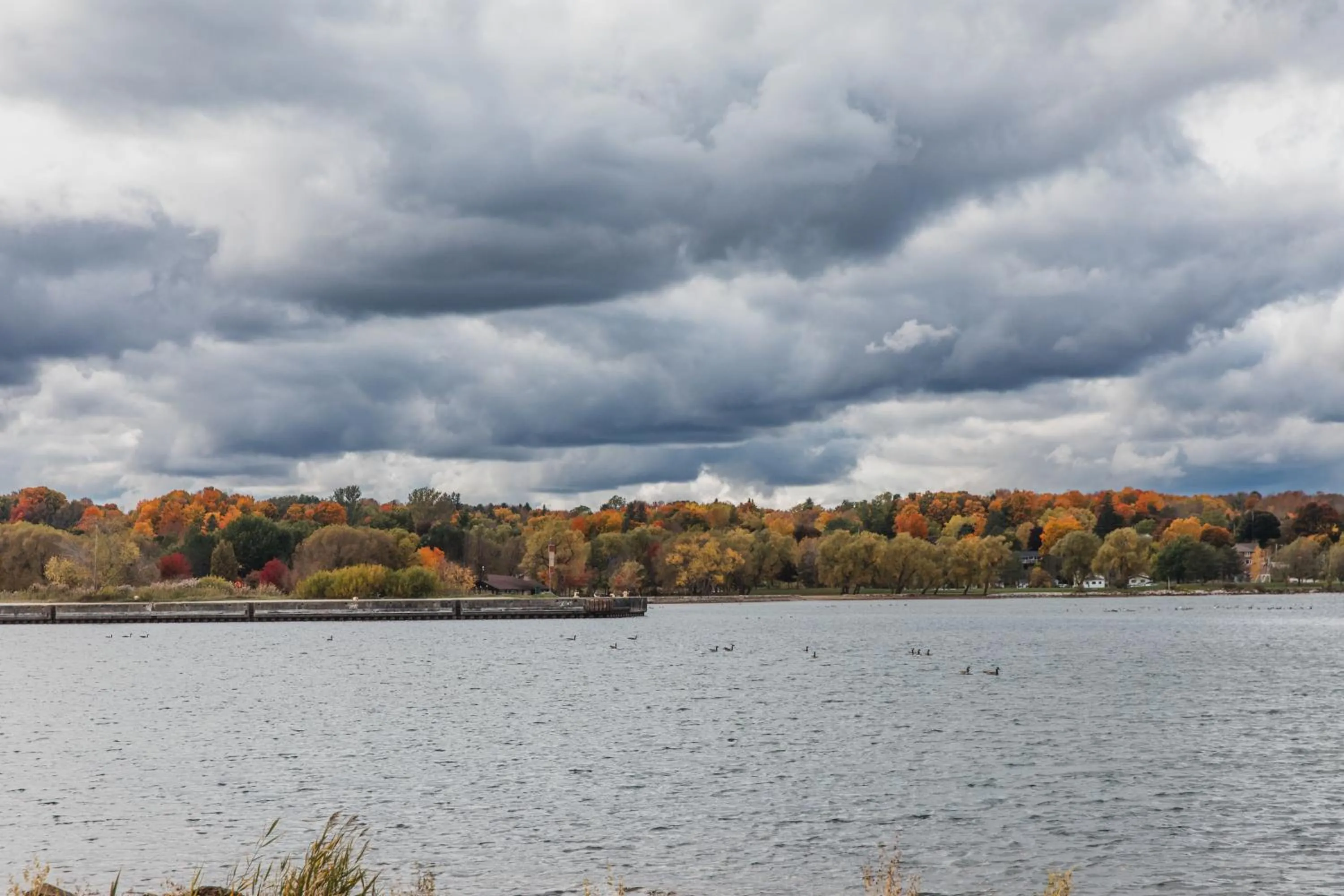 View (from property/room) in Best Western Inn On The Bay