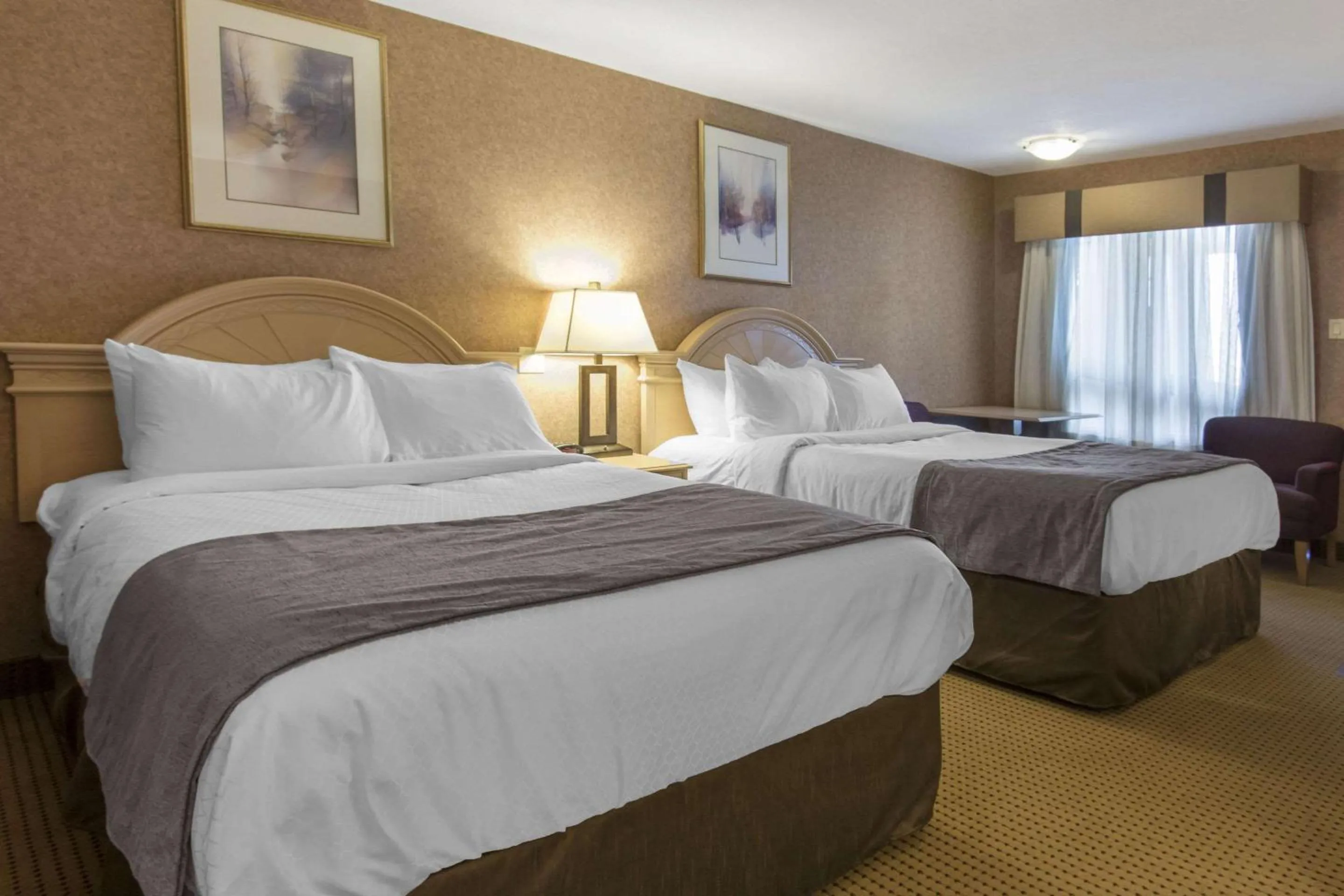 Photo of the whole room, Bed in Quality Inn Medicine Hat