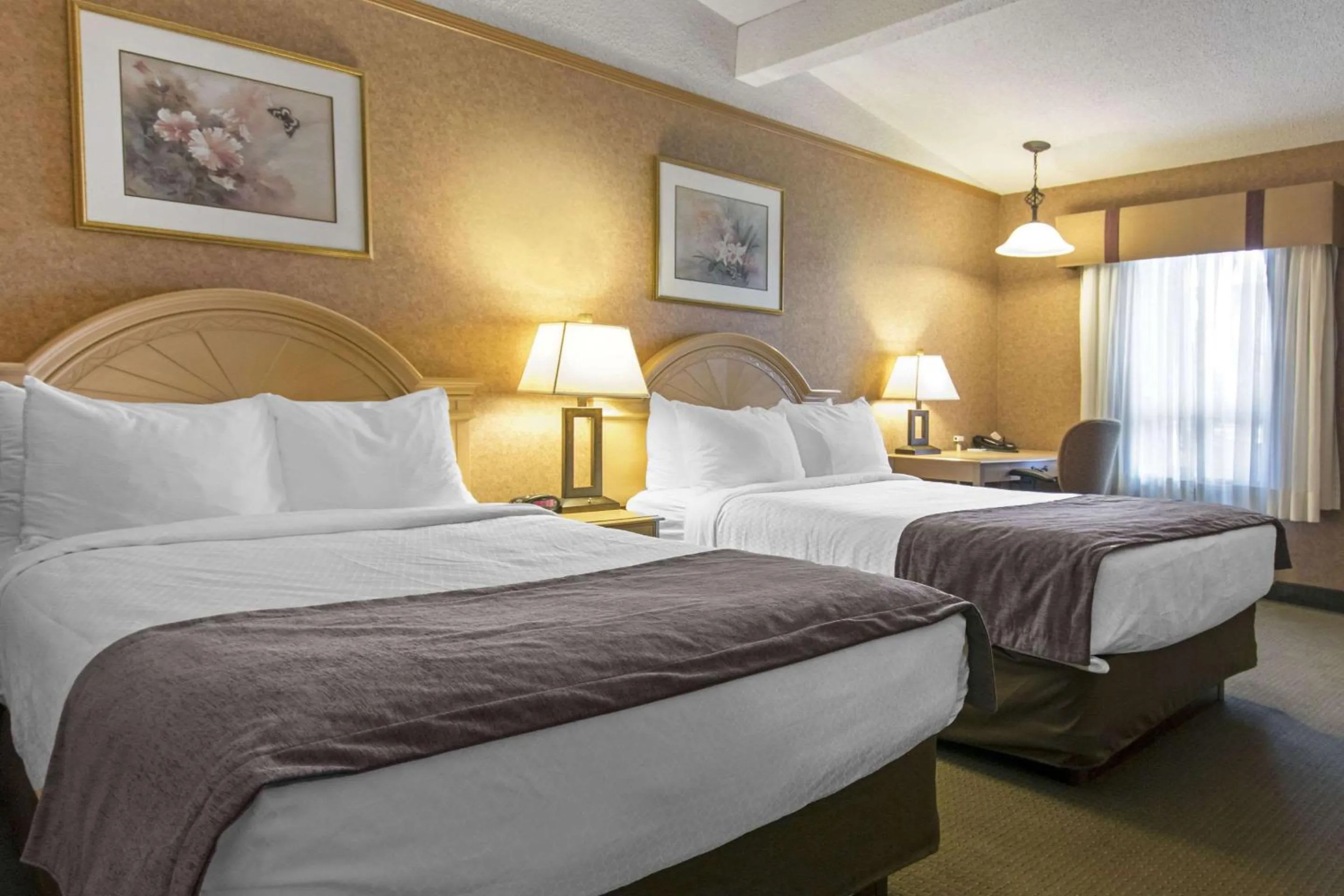 Photo of the whole room, Bed in Quality Inn Medicine Hat