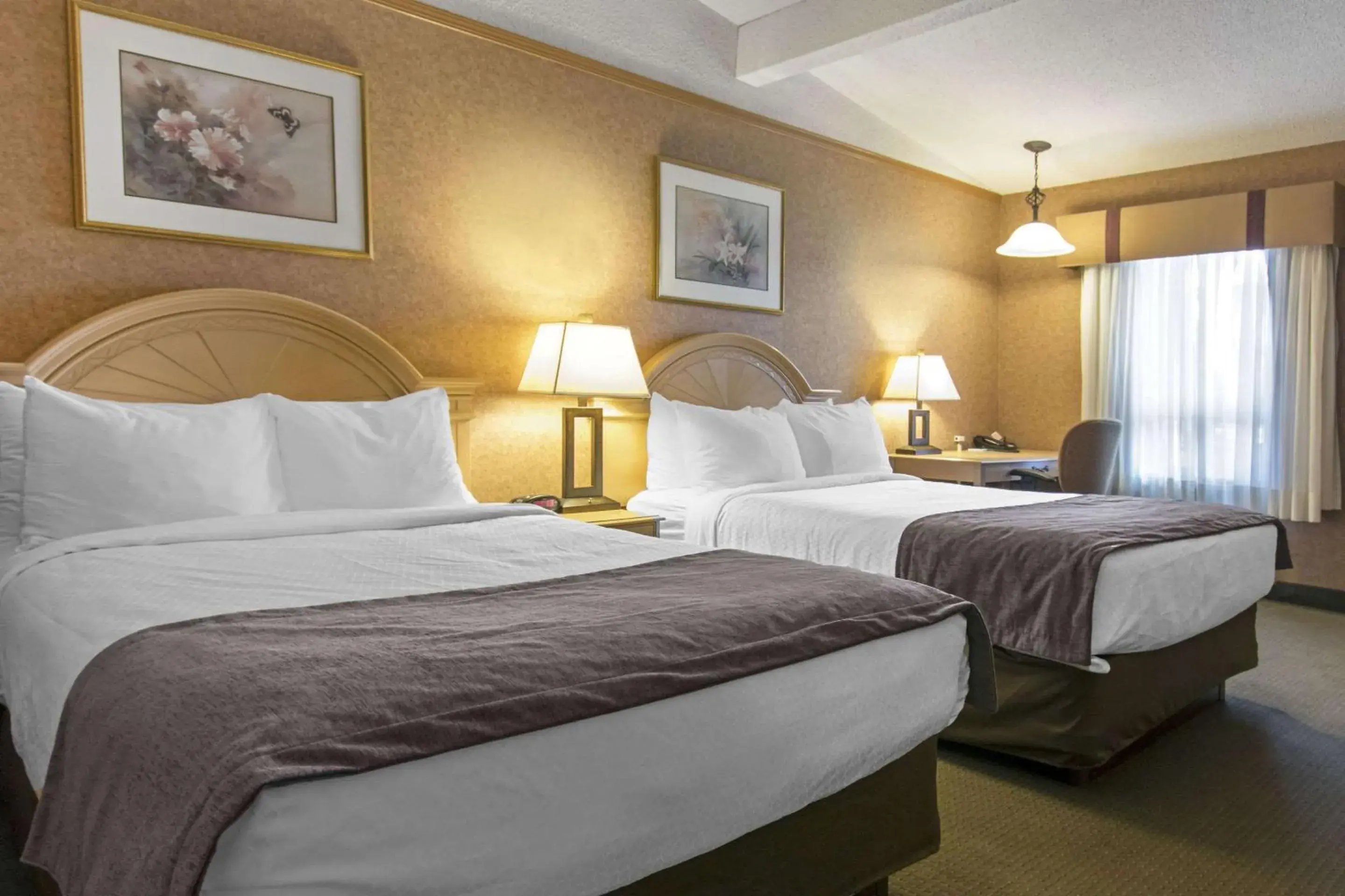 Double Room with Two Double Beds - Non-Smoking in Quality Inn Medicine Hat Double Room with Two Double Beds - Non-Smoking in Quality Inn Medicine Hat