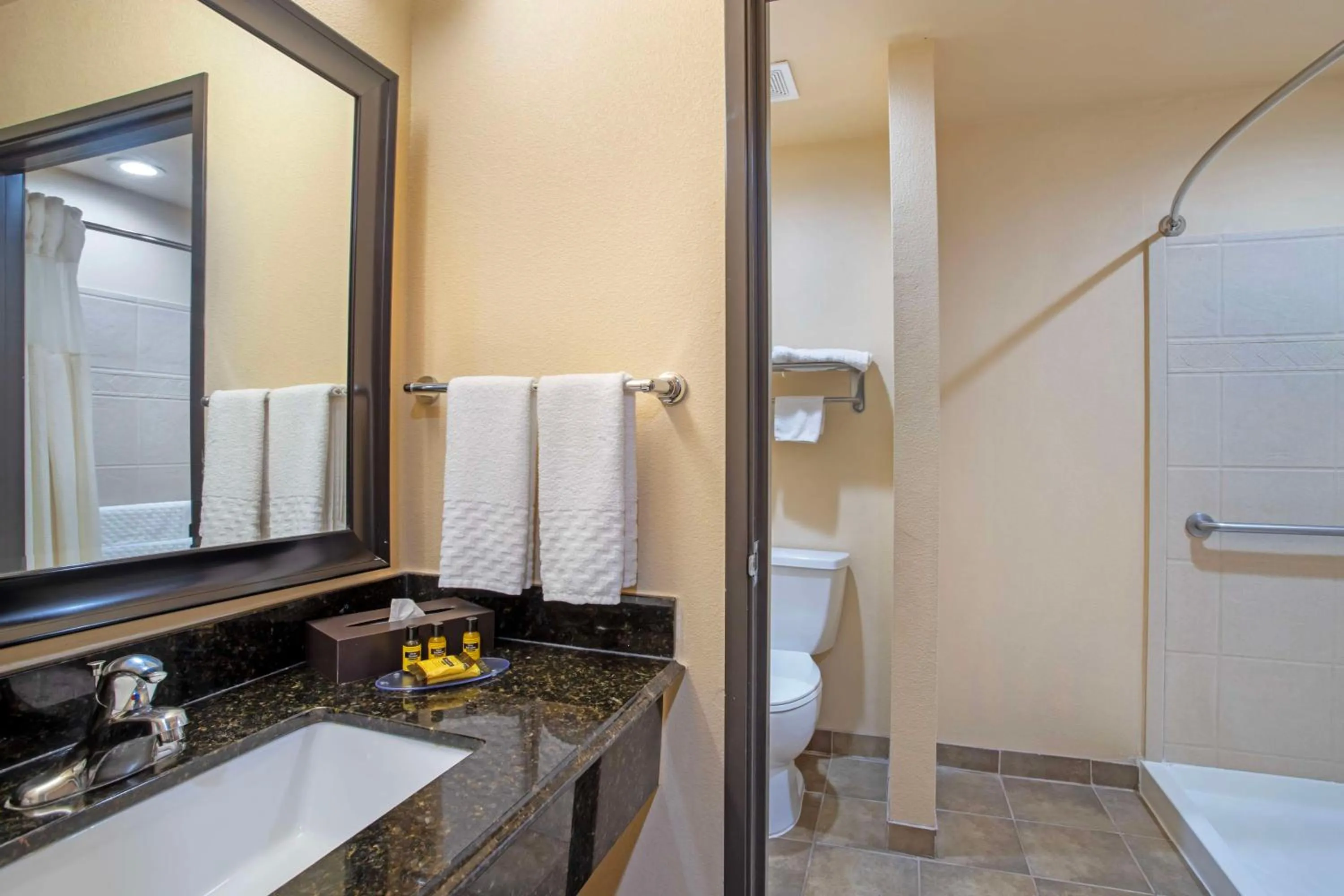 Bathroom in Best Western Plus Goliad Inn & Suites