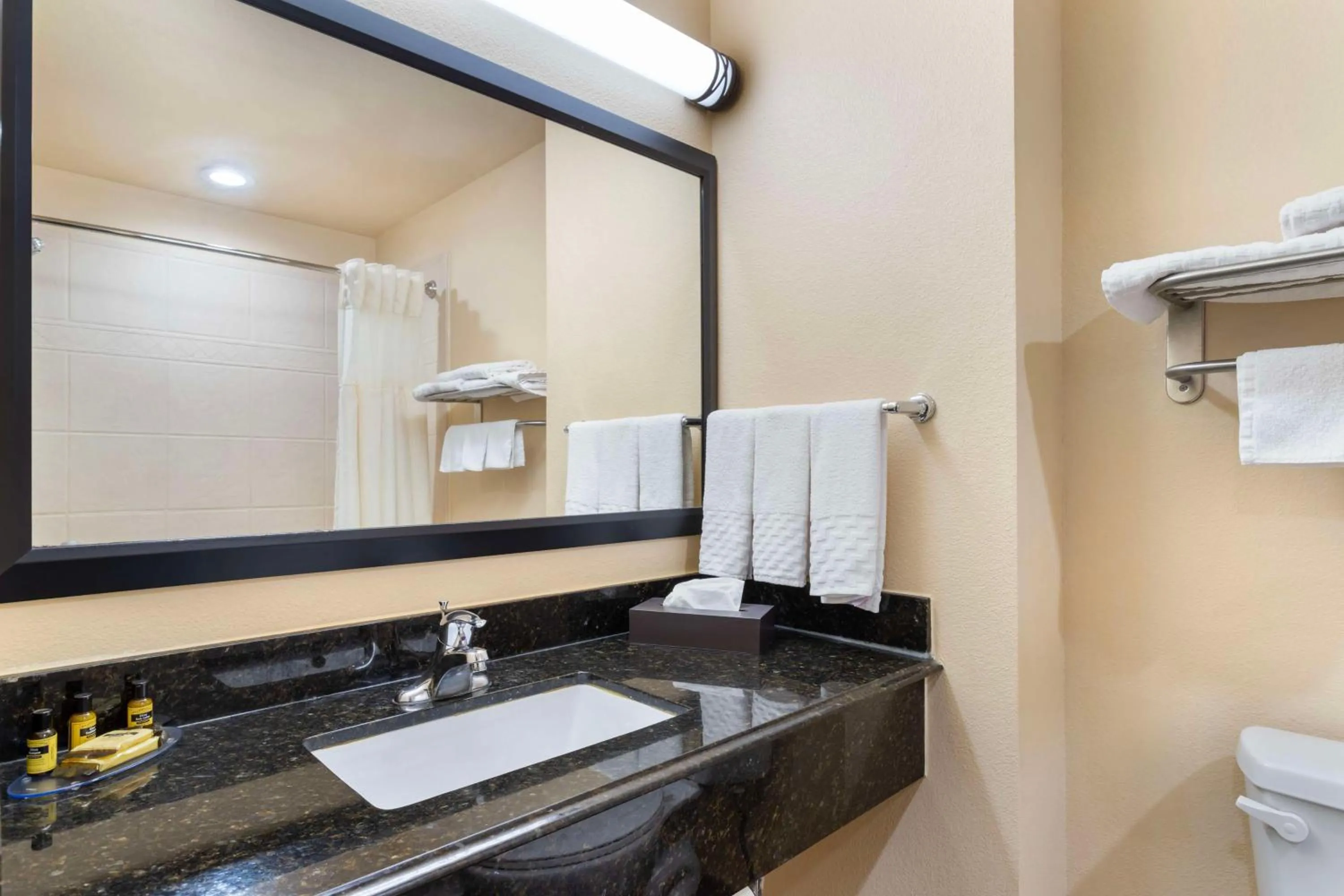 Bathroom in Best Western Plus Goliad Inn & Suites