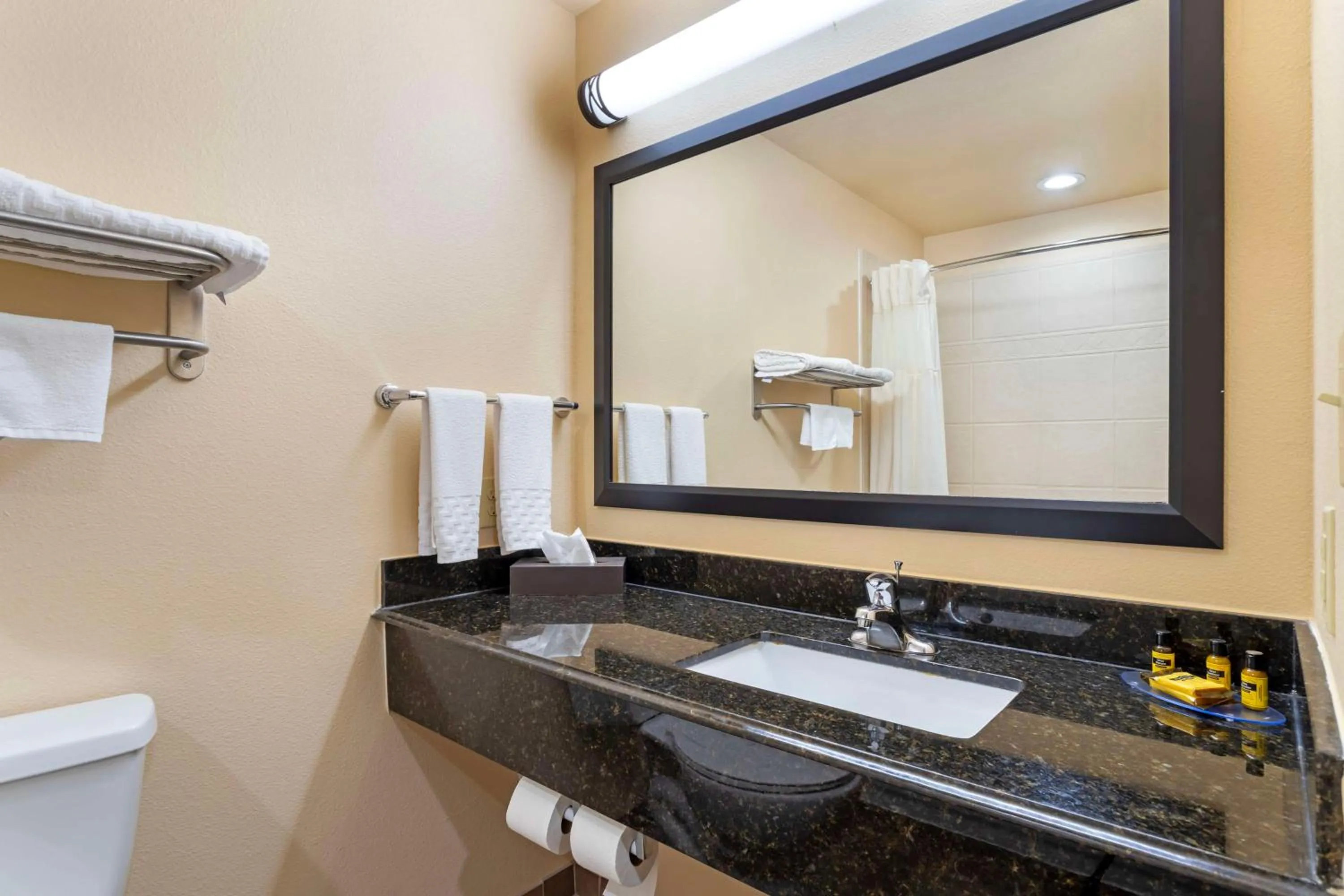 Bathroom in Best Western Plus Goliad Inn & Suites