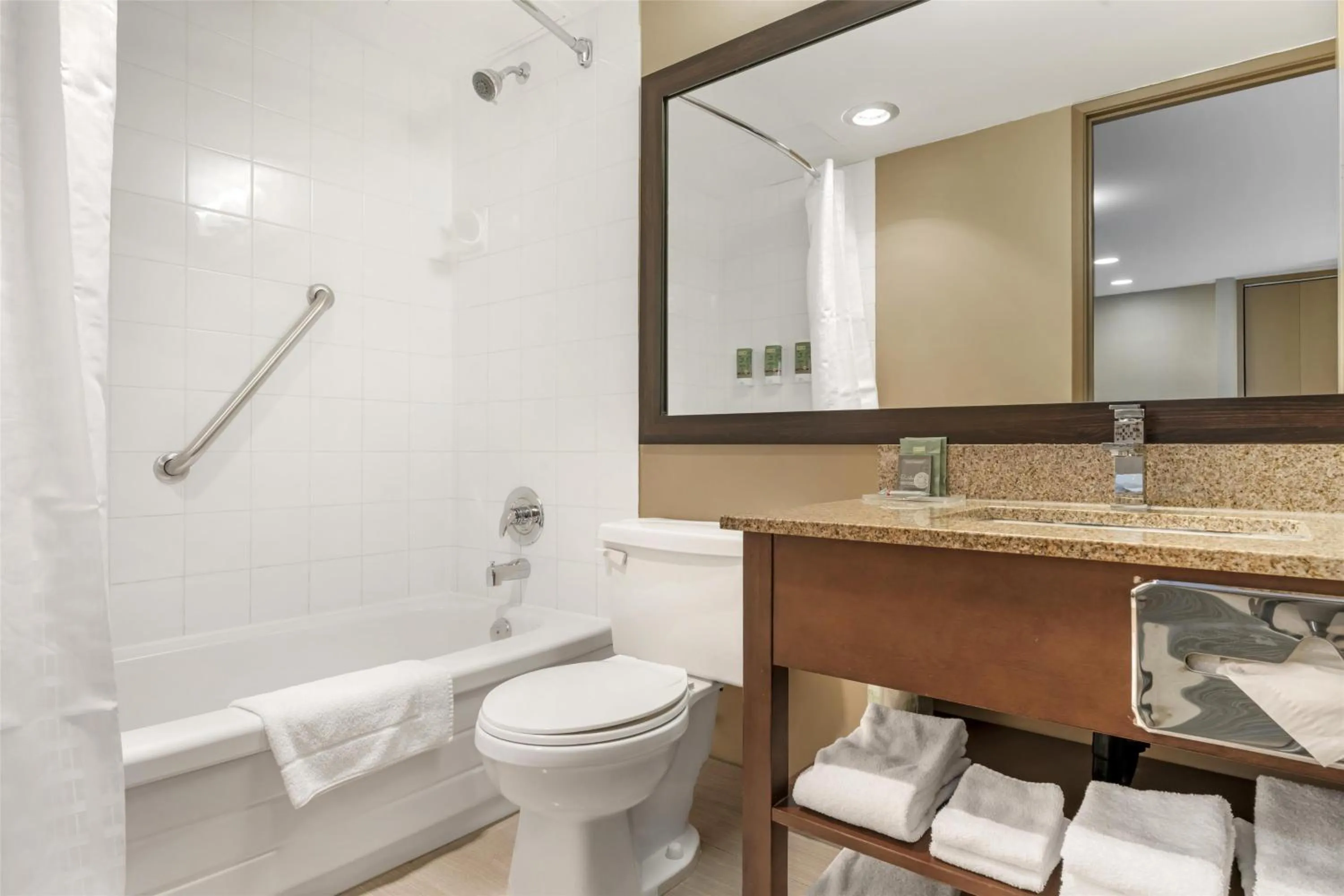 Bathroom in Best Western Terrace Inn