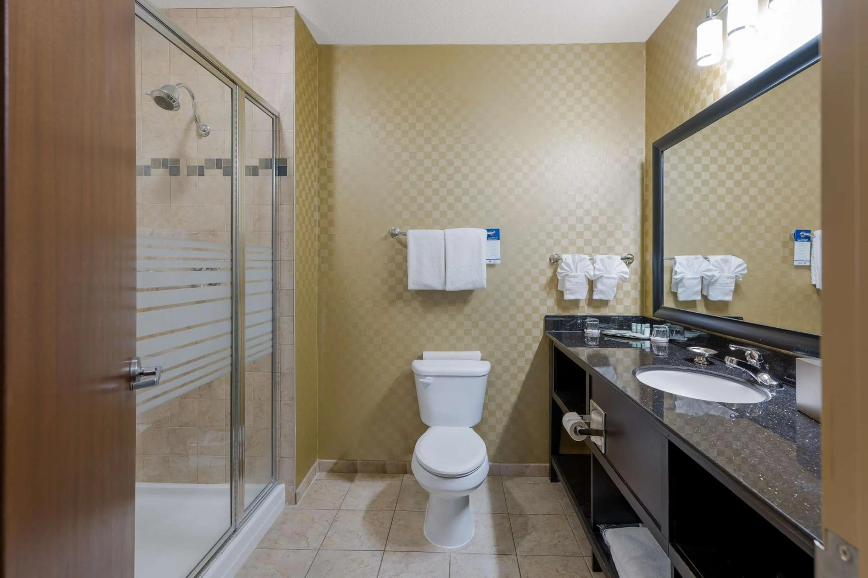 Bathroom in Best Western Sunrise Inn & Suites