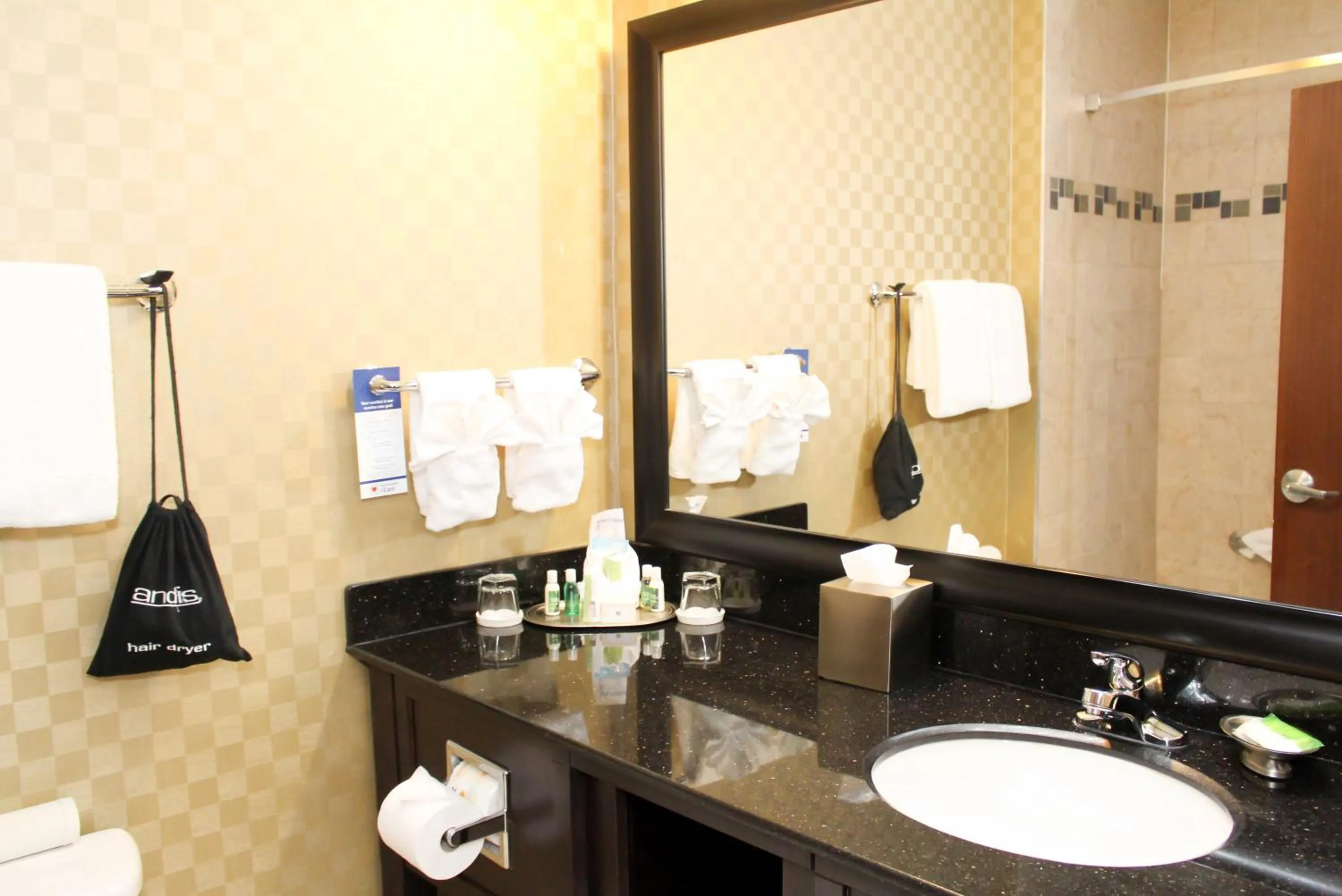 Bathroom in Best Western Sunrise Inn & Suites